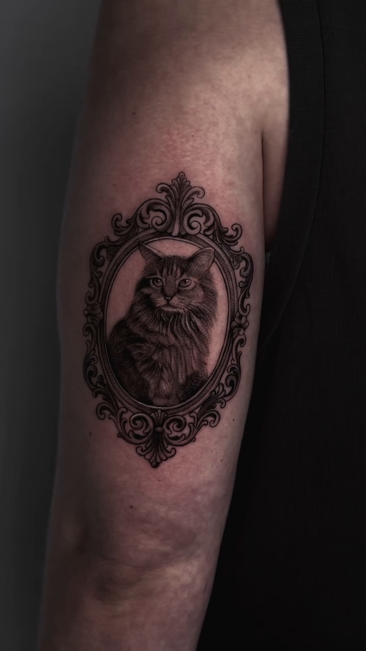 Cat portrait in an ornate frame realism tattoo on the forearm by Stephanie Pedraza