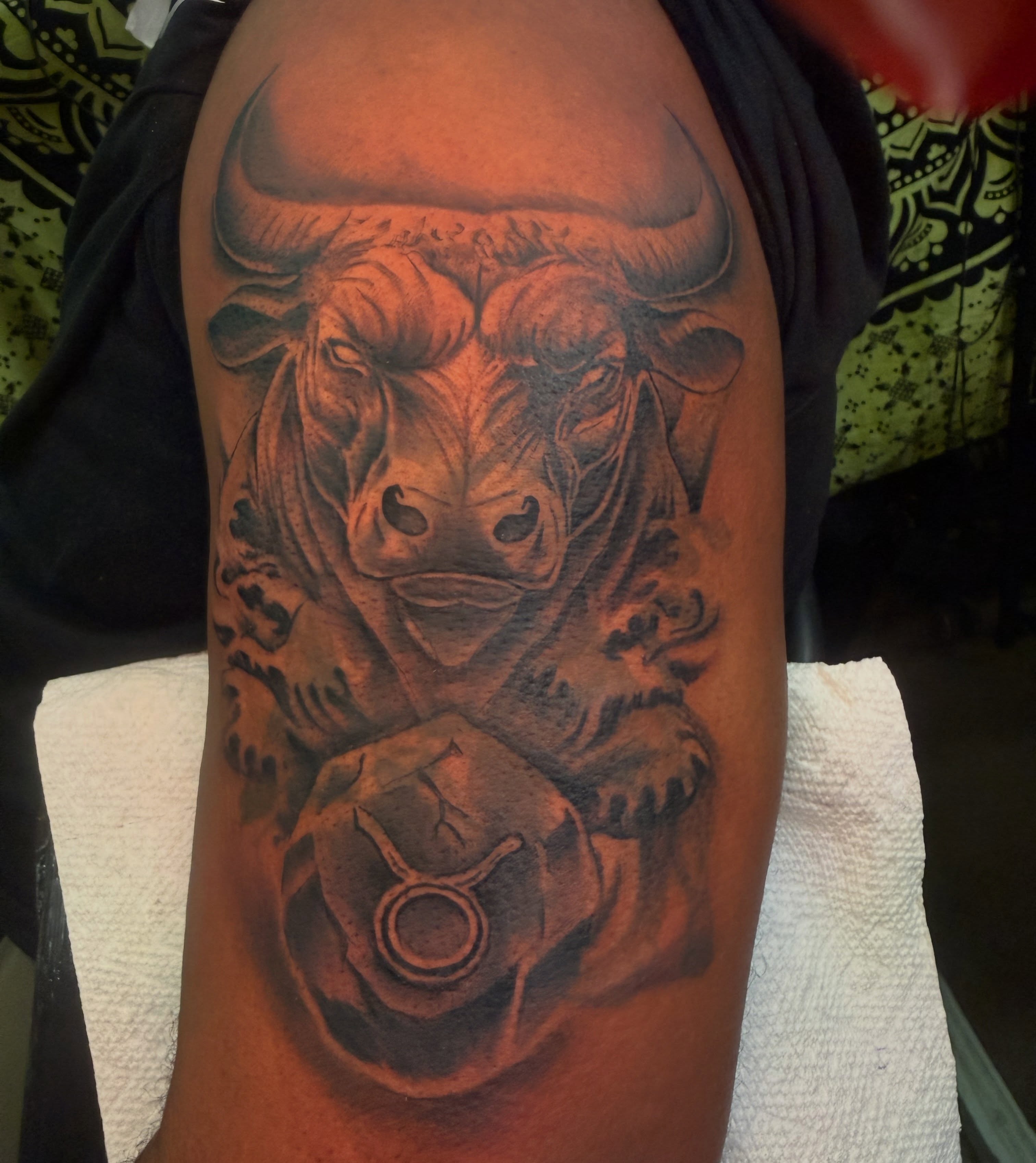 Bull realism tattoo on the forearm by Butta