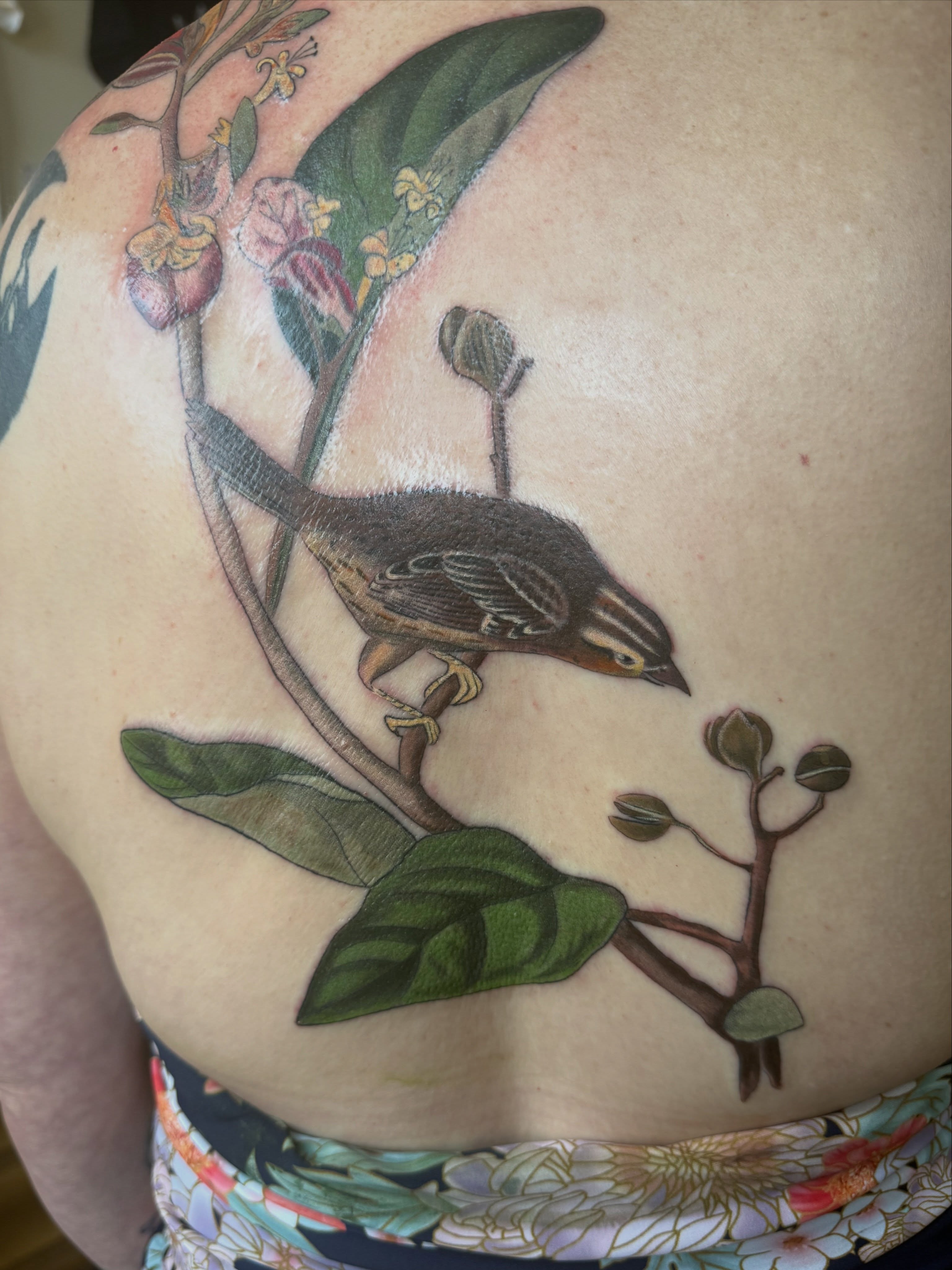 Bird and floral realism tattoo on the back by Leah - Tattoo Artist