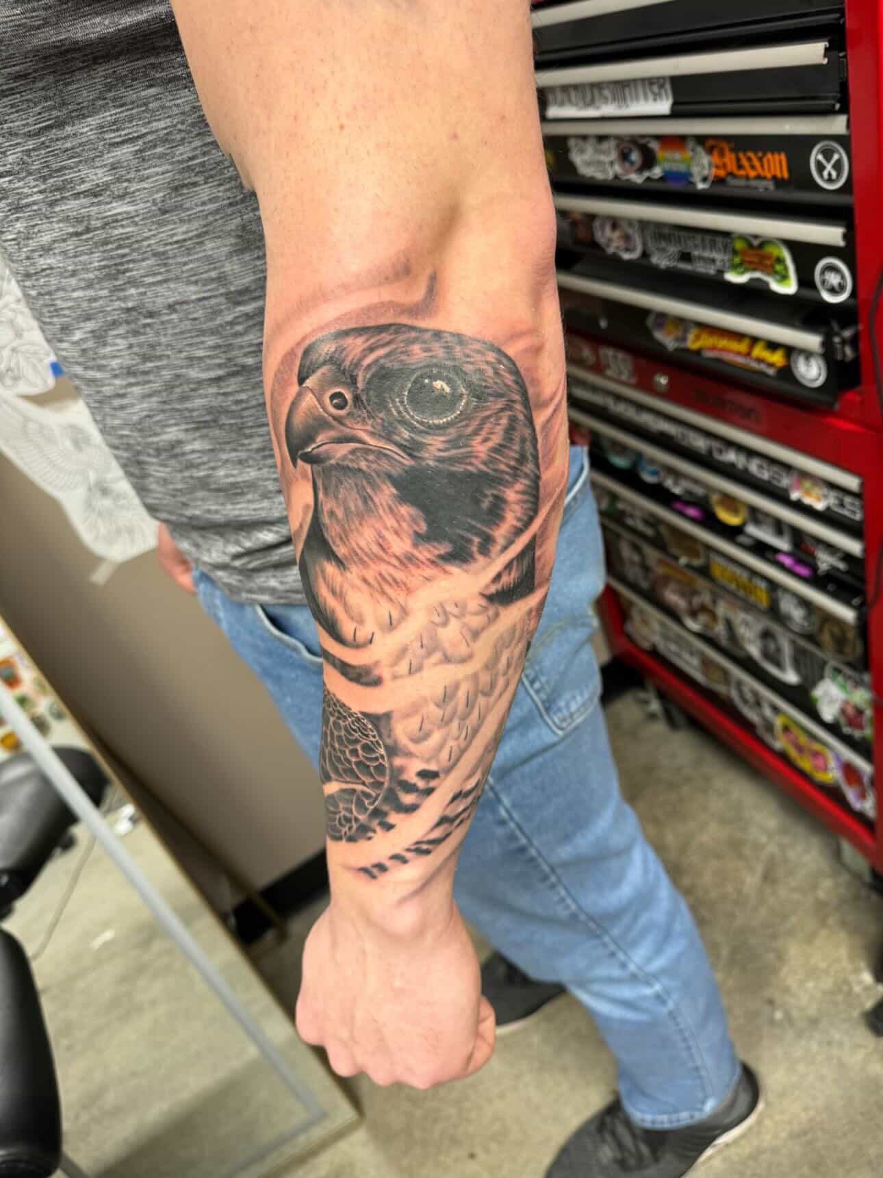 Hawk realism tattoo on the forearm by Derek Cilla, Bethlehem, Pennsylvania
