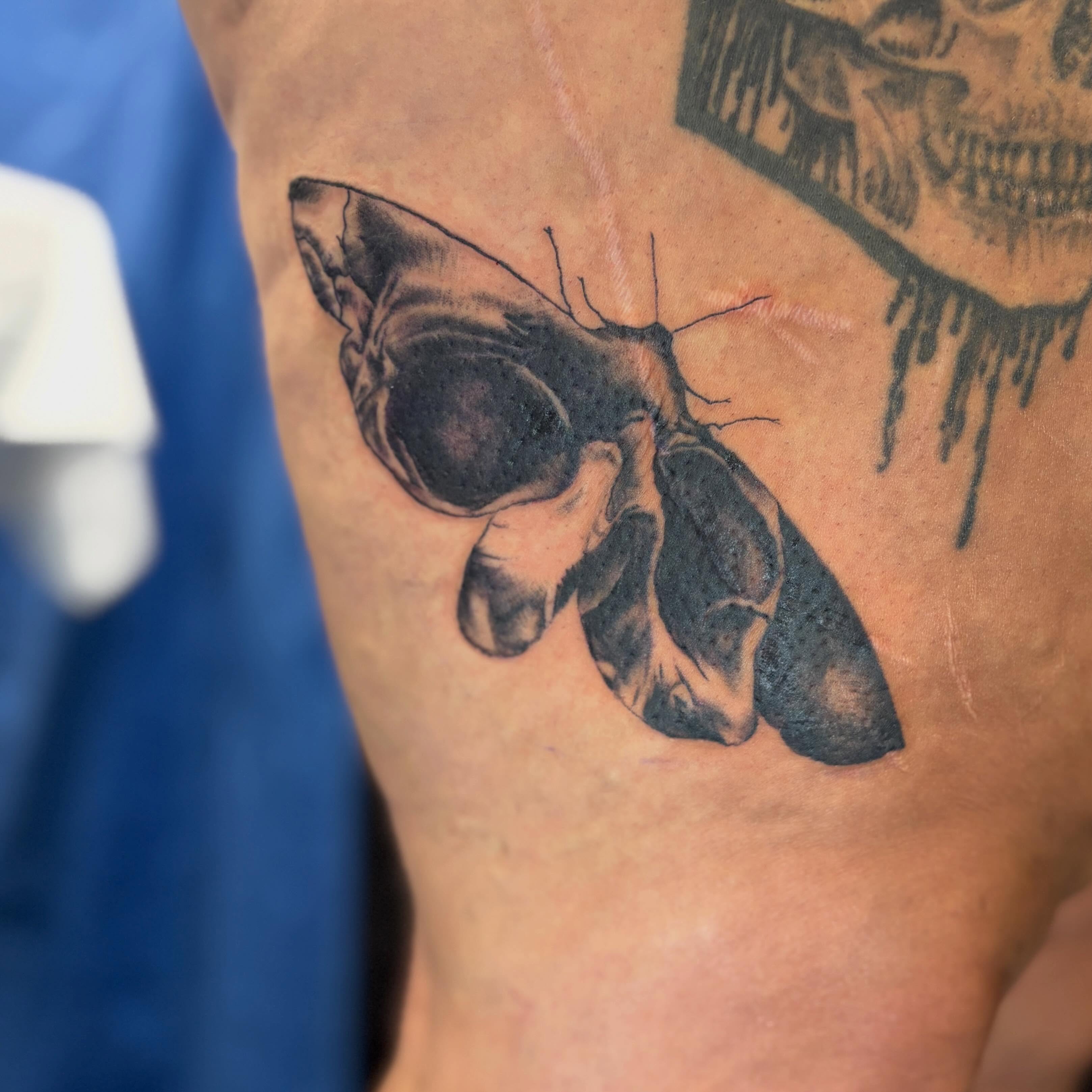 Moth realism tattoo on the thigh by Zeninkz