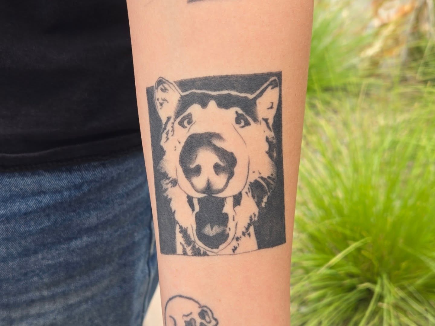 Dog black and grey tattoo on the forearm by alec
