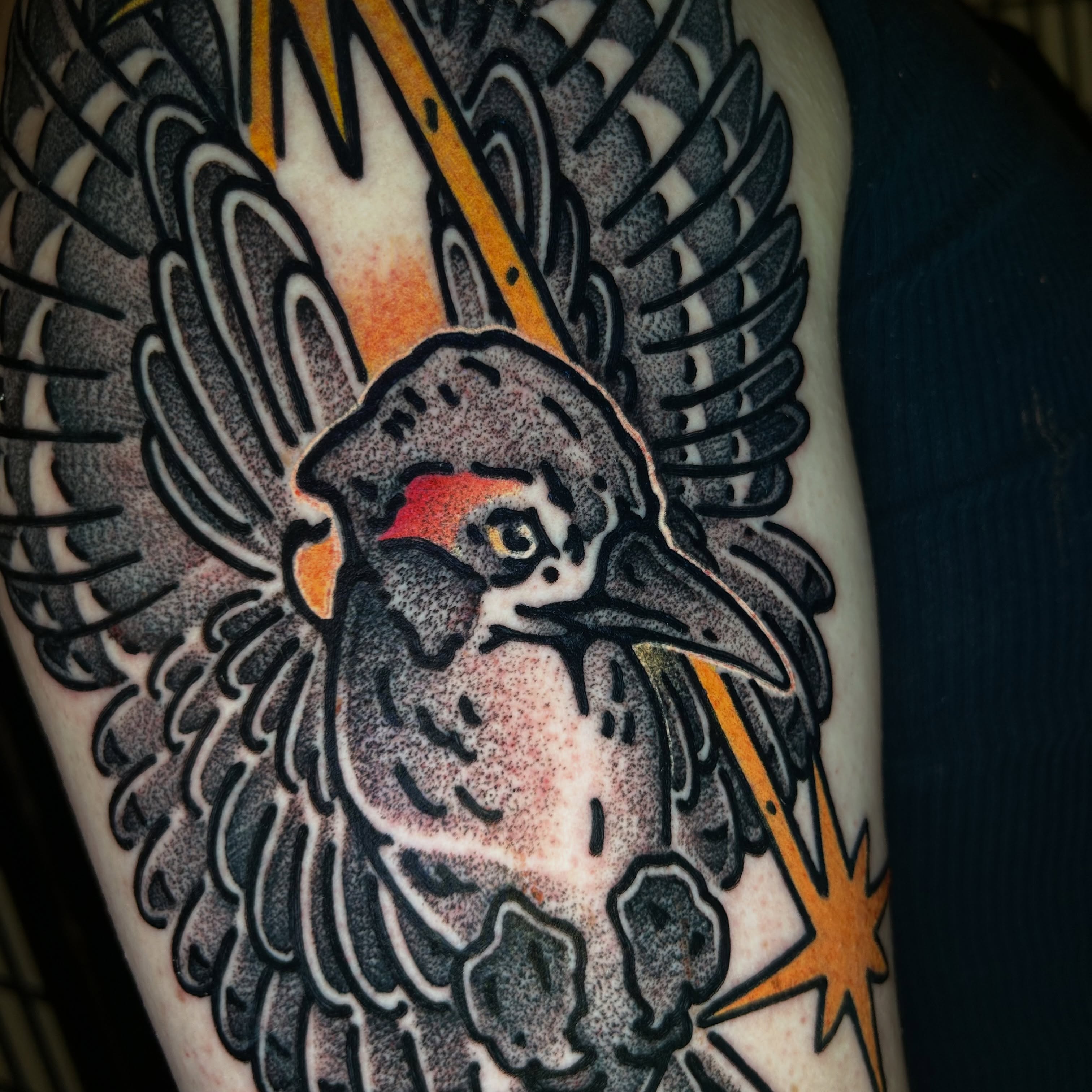 Woodpecker American traditional tattoo on the forearm by 匚卂ㄒ乙丨ㄥㄥ卂