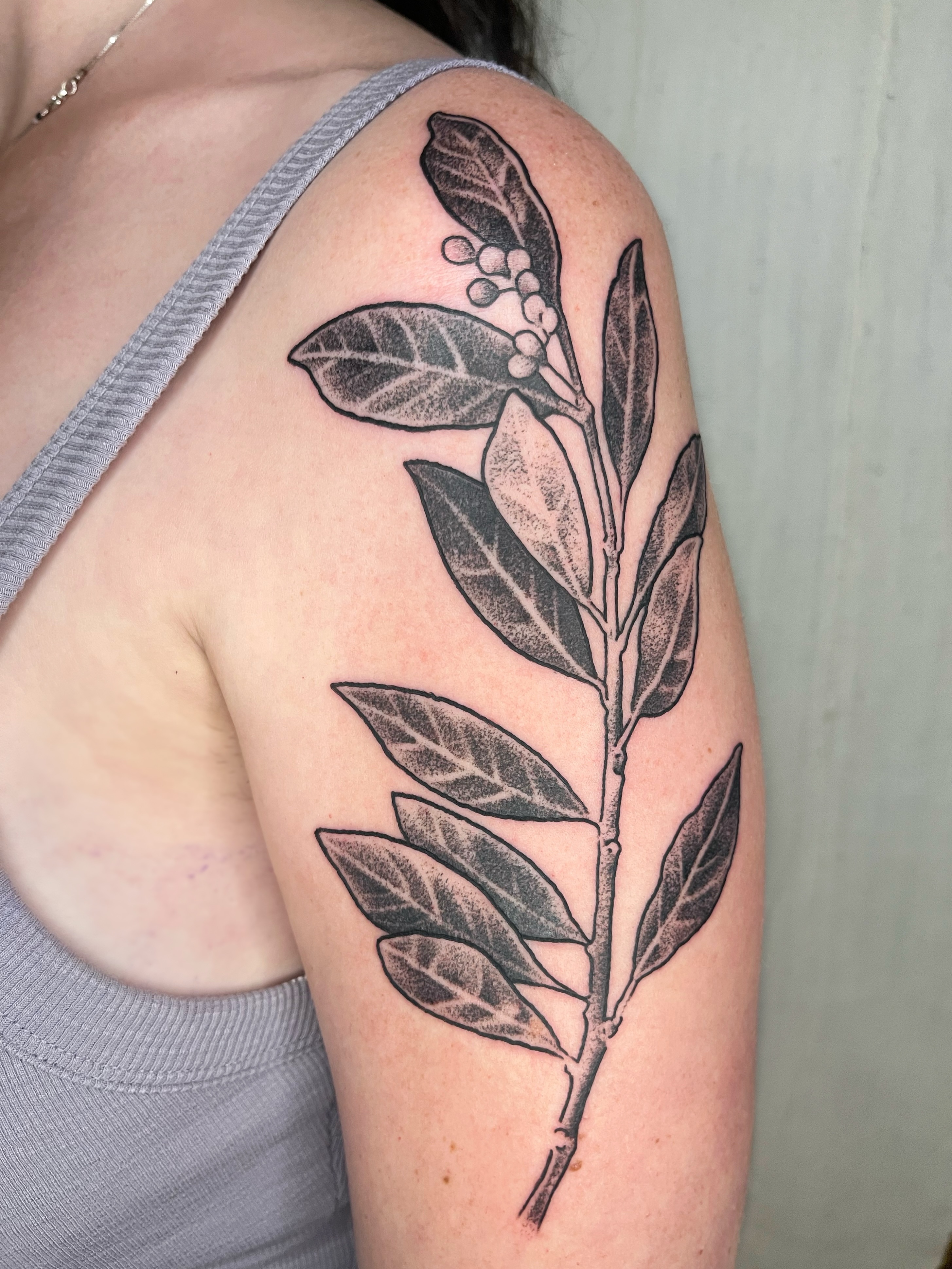 Branch with leaves dotwork tattoo on the shoulder by Maris Hare, Philadelphia, Pennsylvania