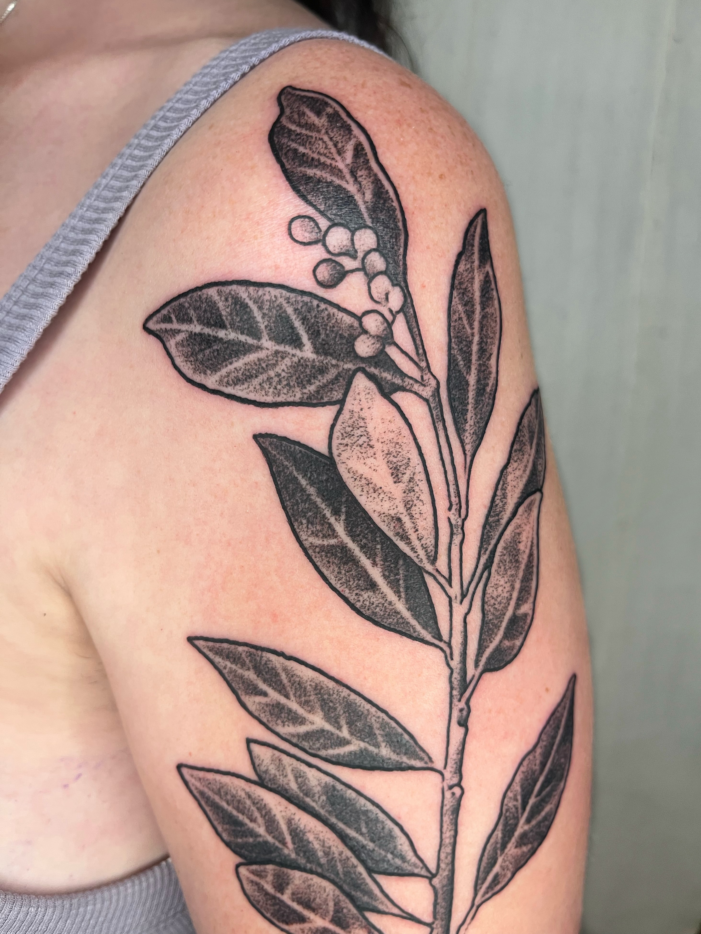 Olive branch black and grey tattoo on the shoulder by Maris Hare, Philadelphia, Pennsylvania