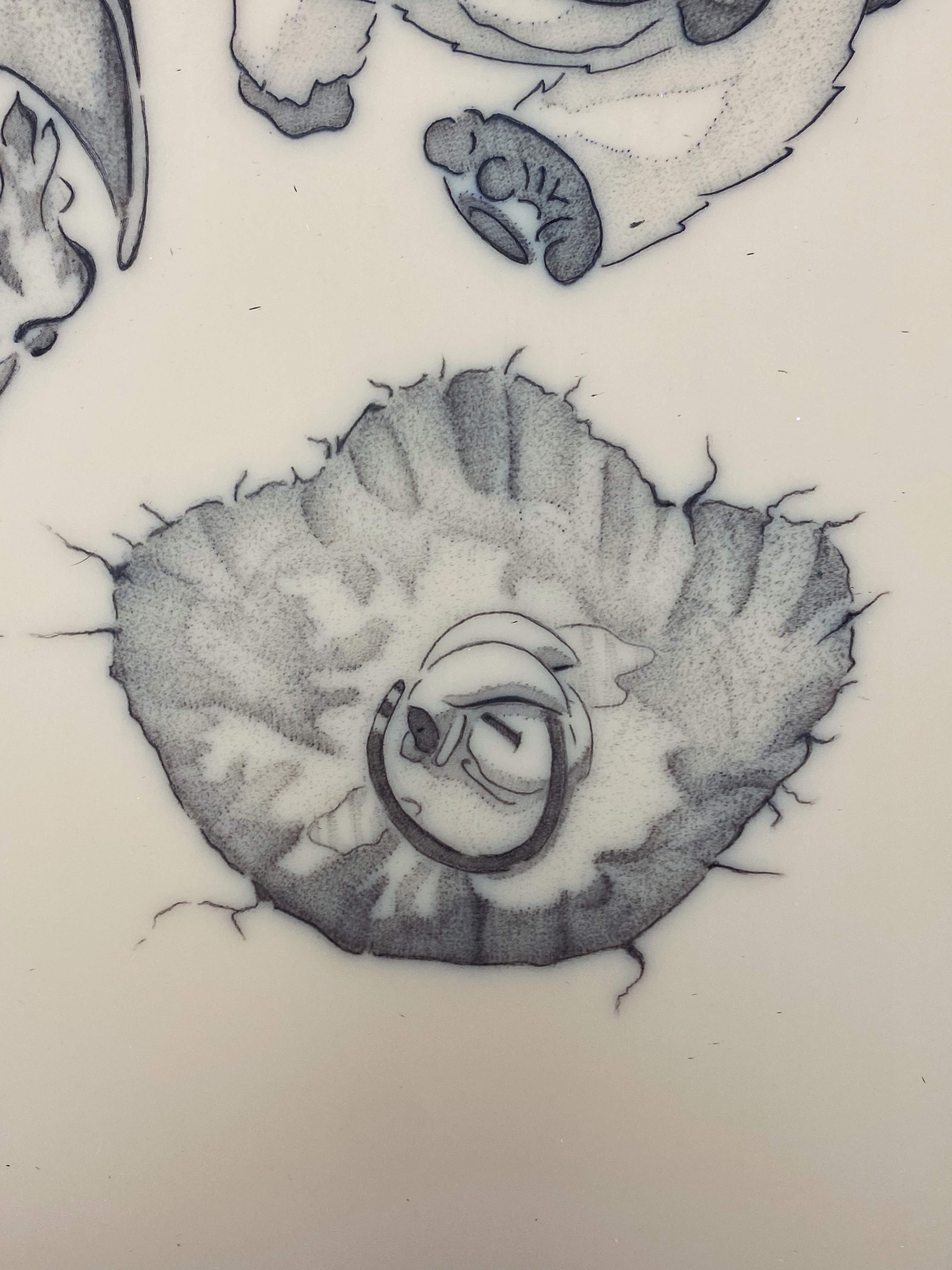 Shell black and grey tattoo by Ash - Fineline Tattoo Apprentice