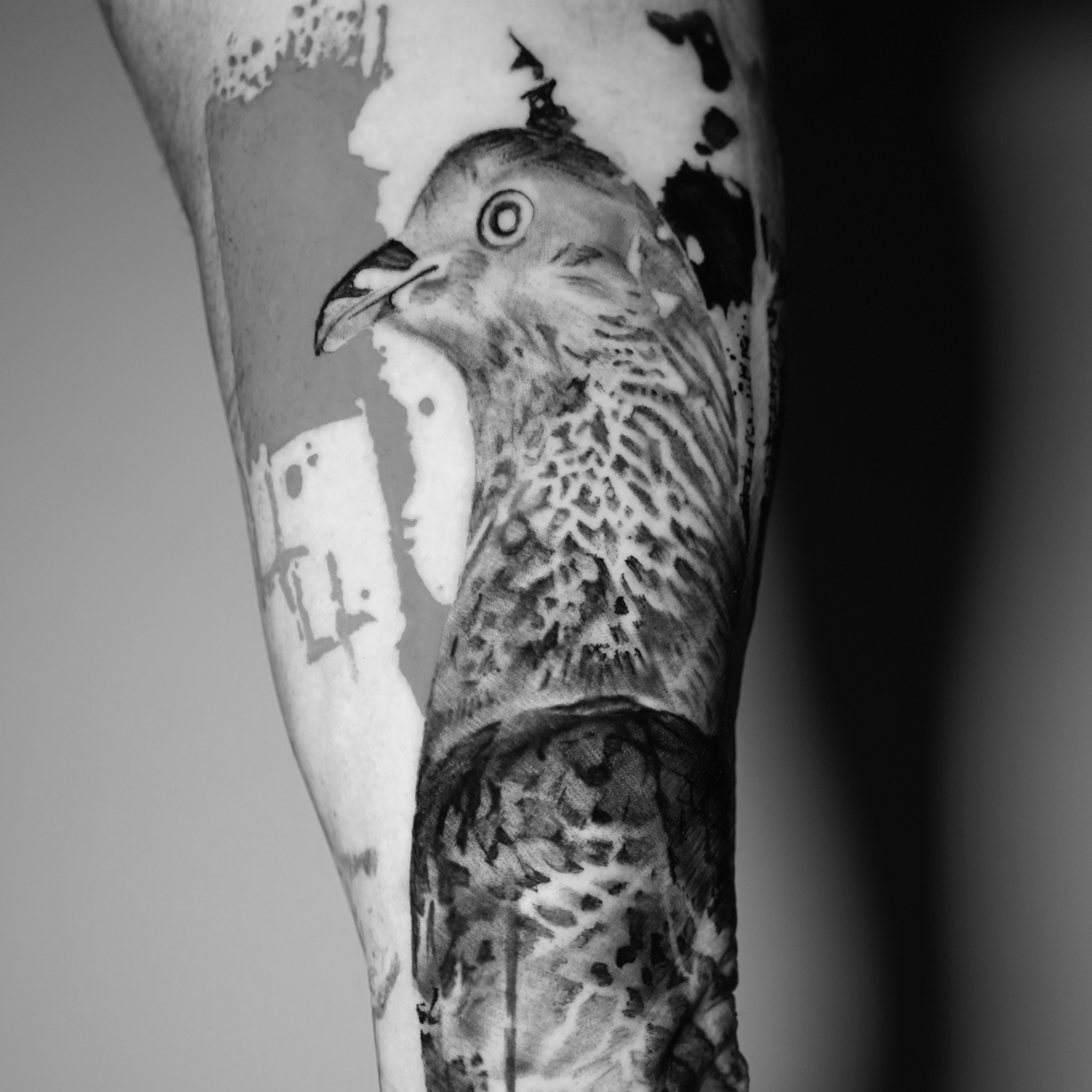 Hawk realism tattoo on the forearm by Darl Gnau
