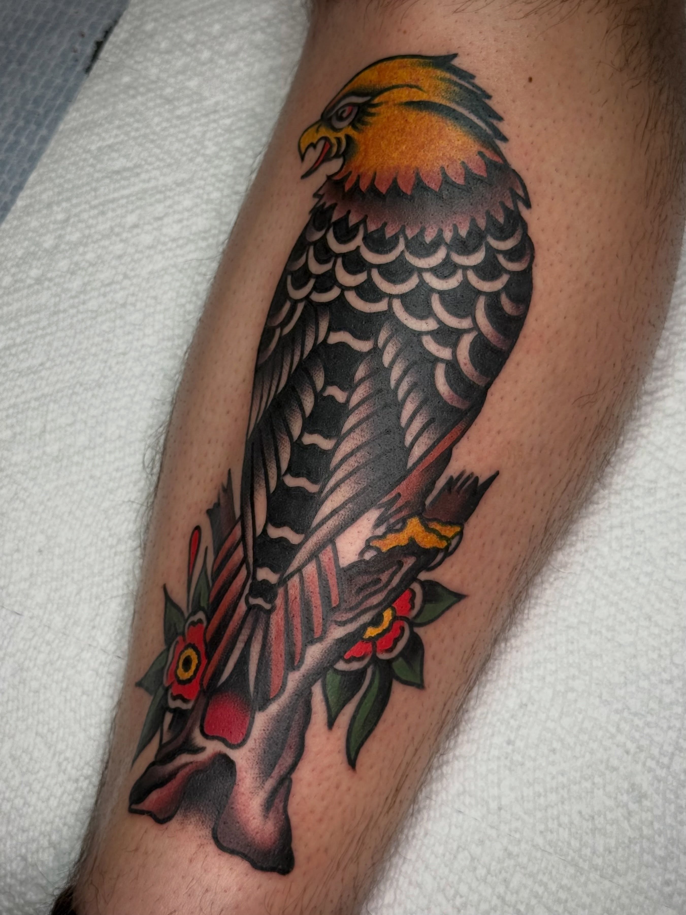 Hawk American traditional tattoo on the forearm by Maximilian Harrison