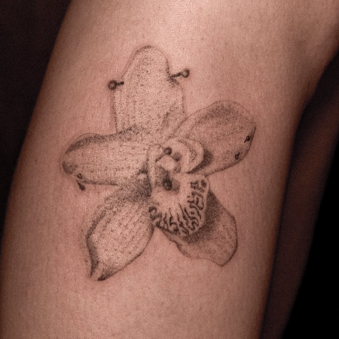 Orchid dotwork tattoo on the forearm by ๐๐, Tacoma, Washington