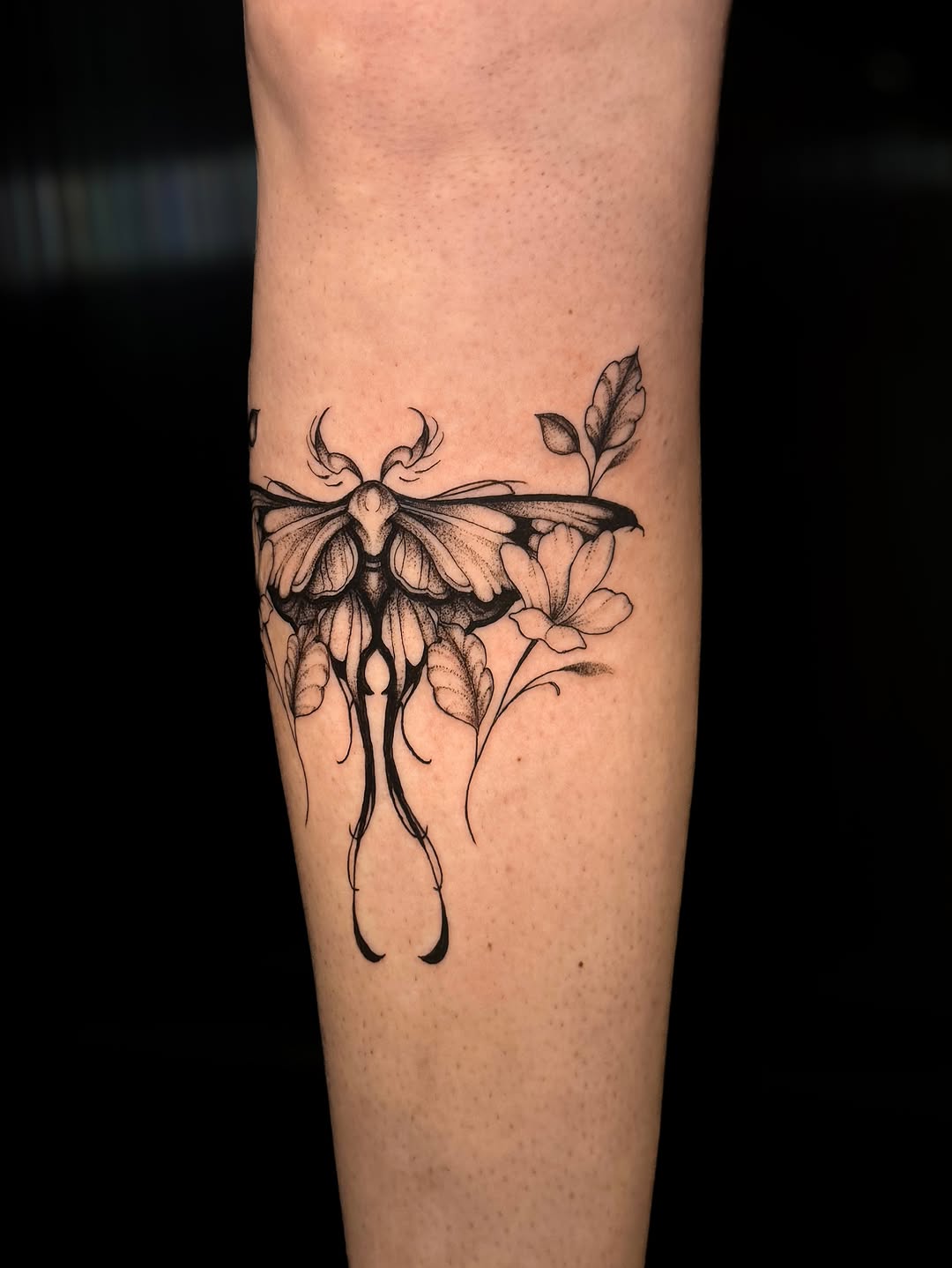 Tattoo by @tatbykam — fine_line, black_and_grey