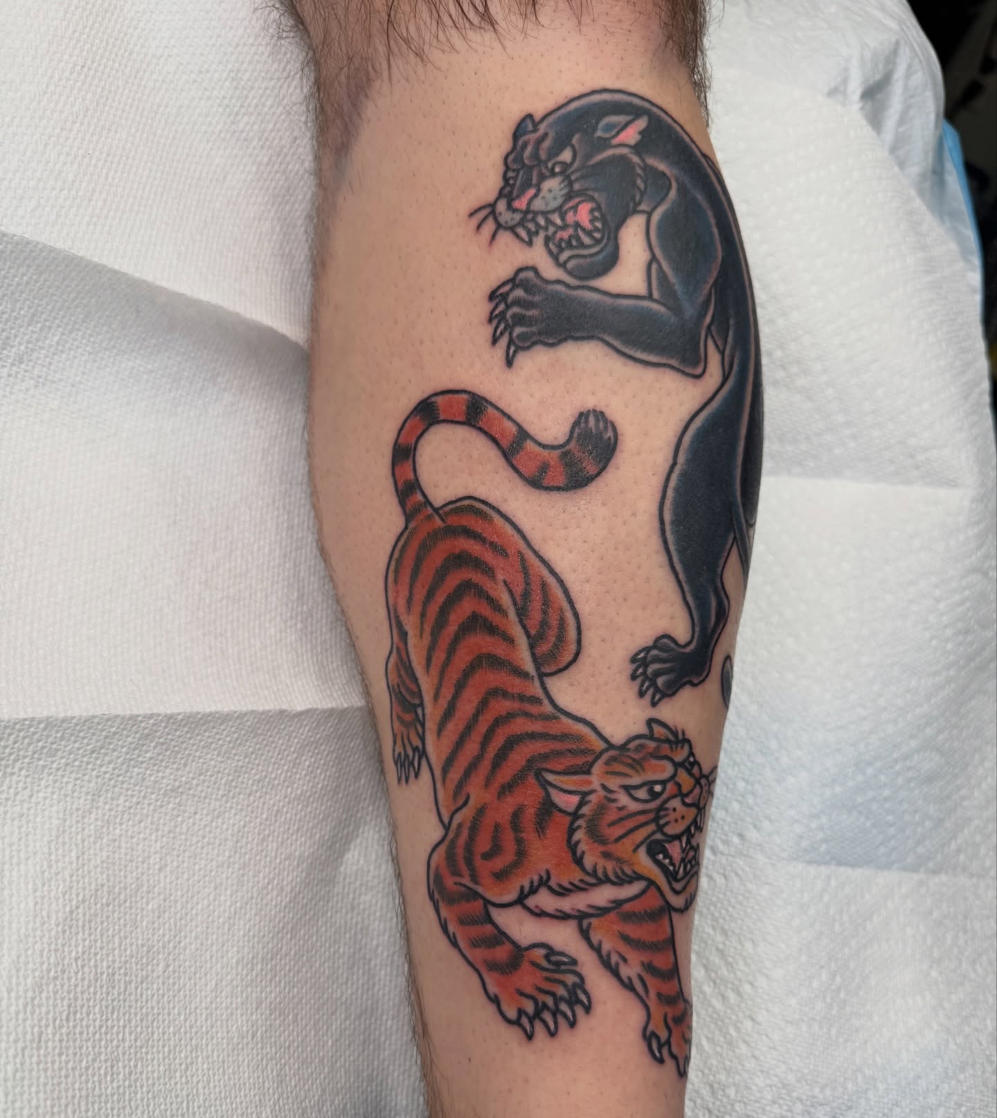Panther and tiger American traditional tattoo on the forearm by Joel Smith, Manhattan, Kansas