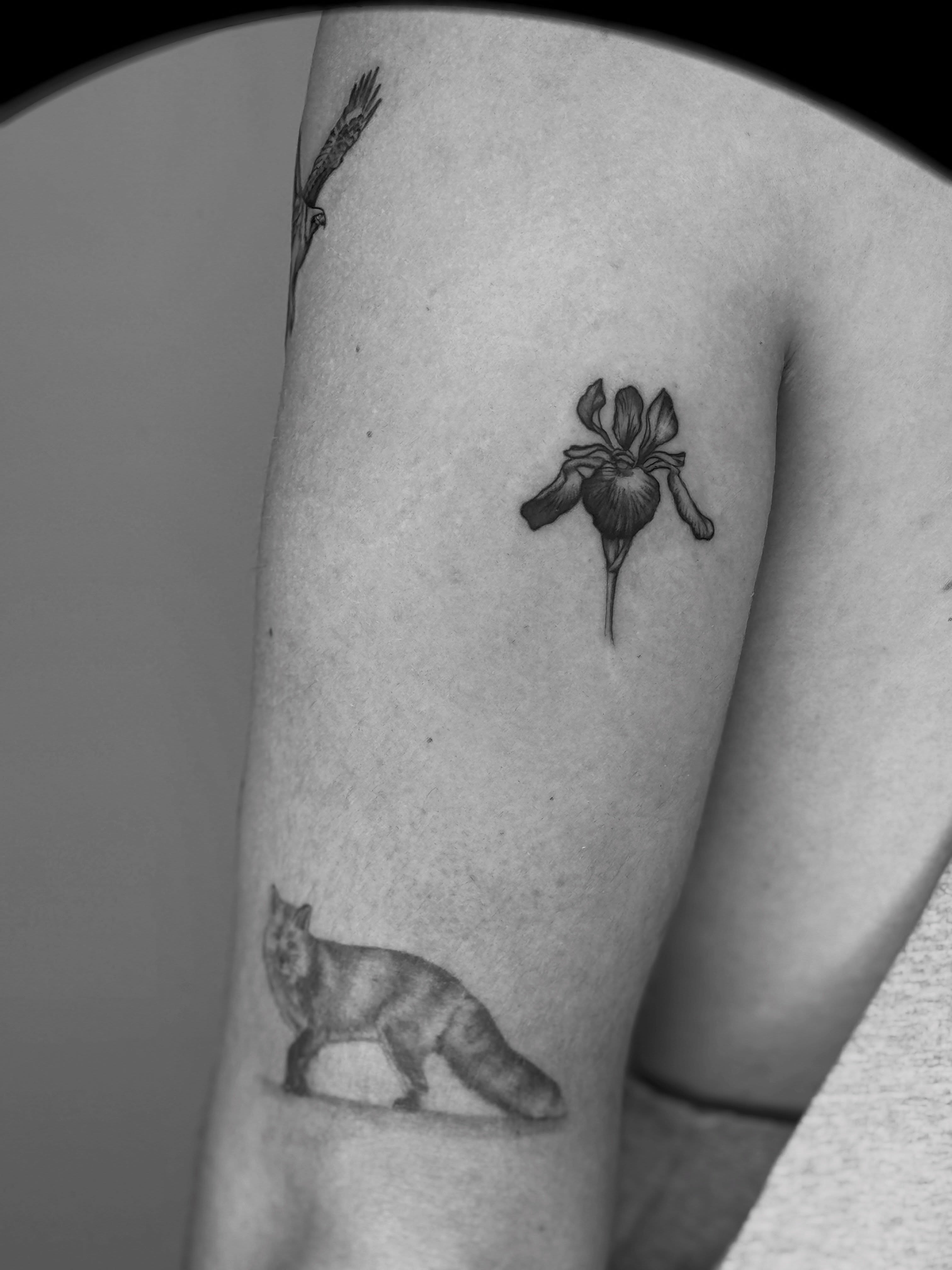 Flower black and grey tattoo on the forearm by Ashley Limon