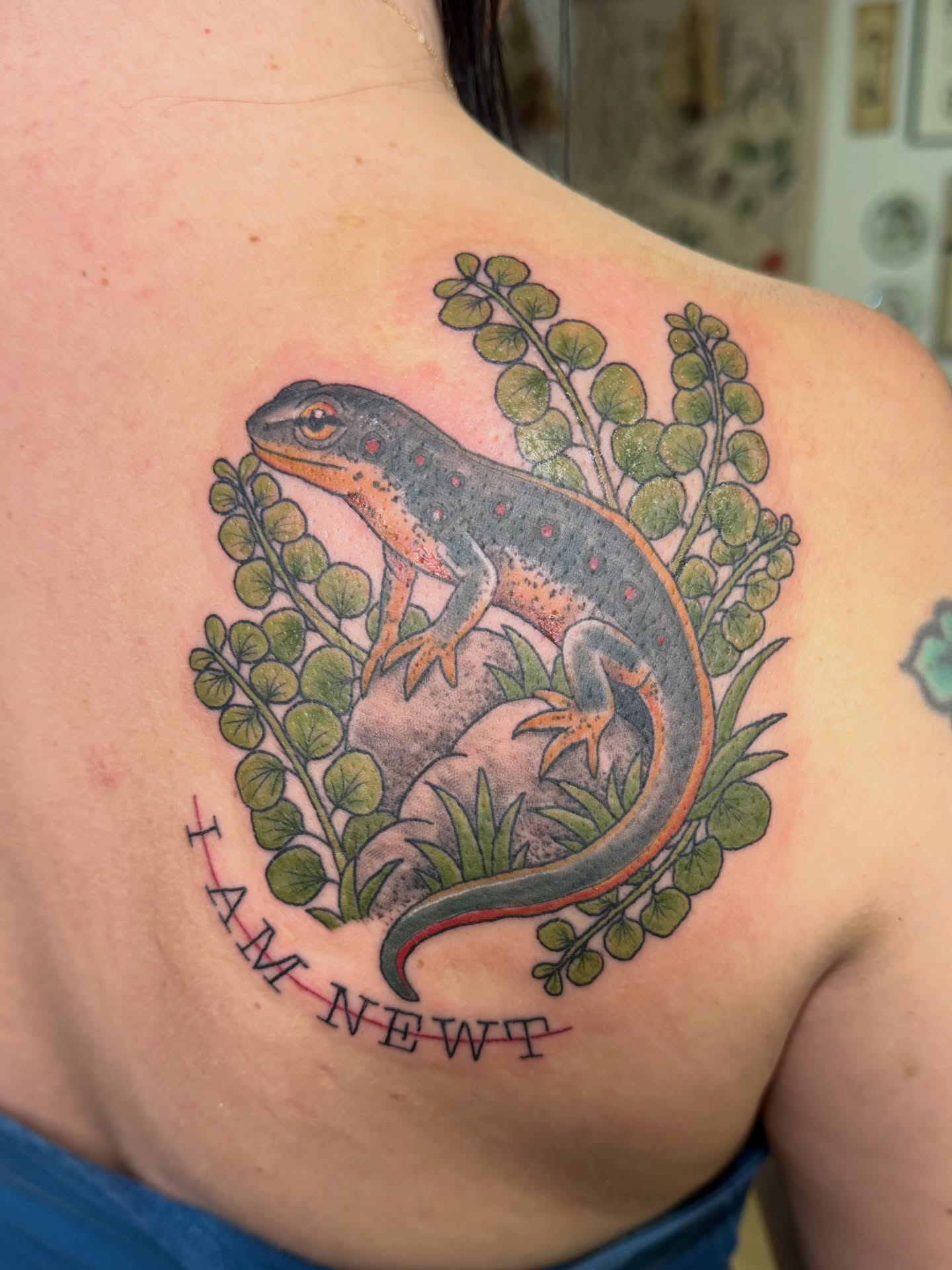 Newt realism tattoo on the shoulder by Dani Fried Tattoos