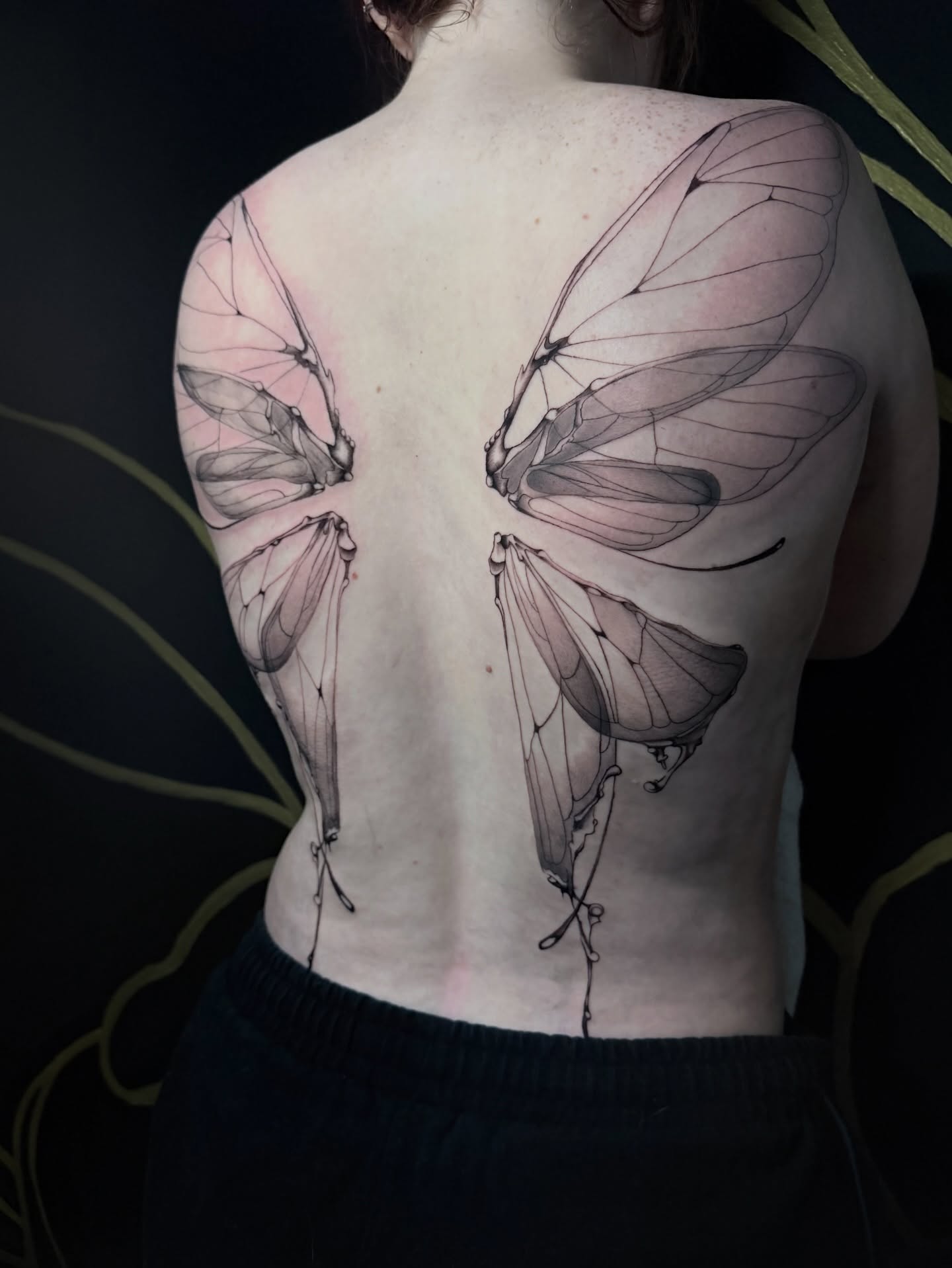 Wings fine line tattoo on the back by Las Vegas Artist π©π½βπ¨