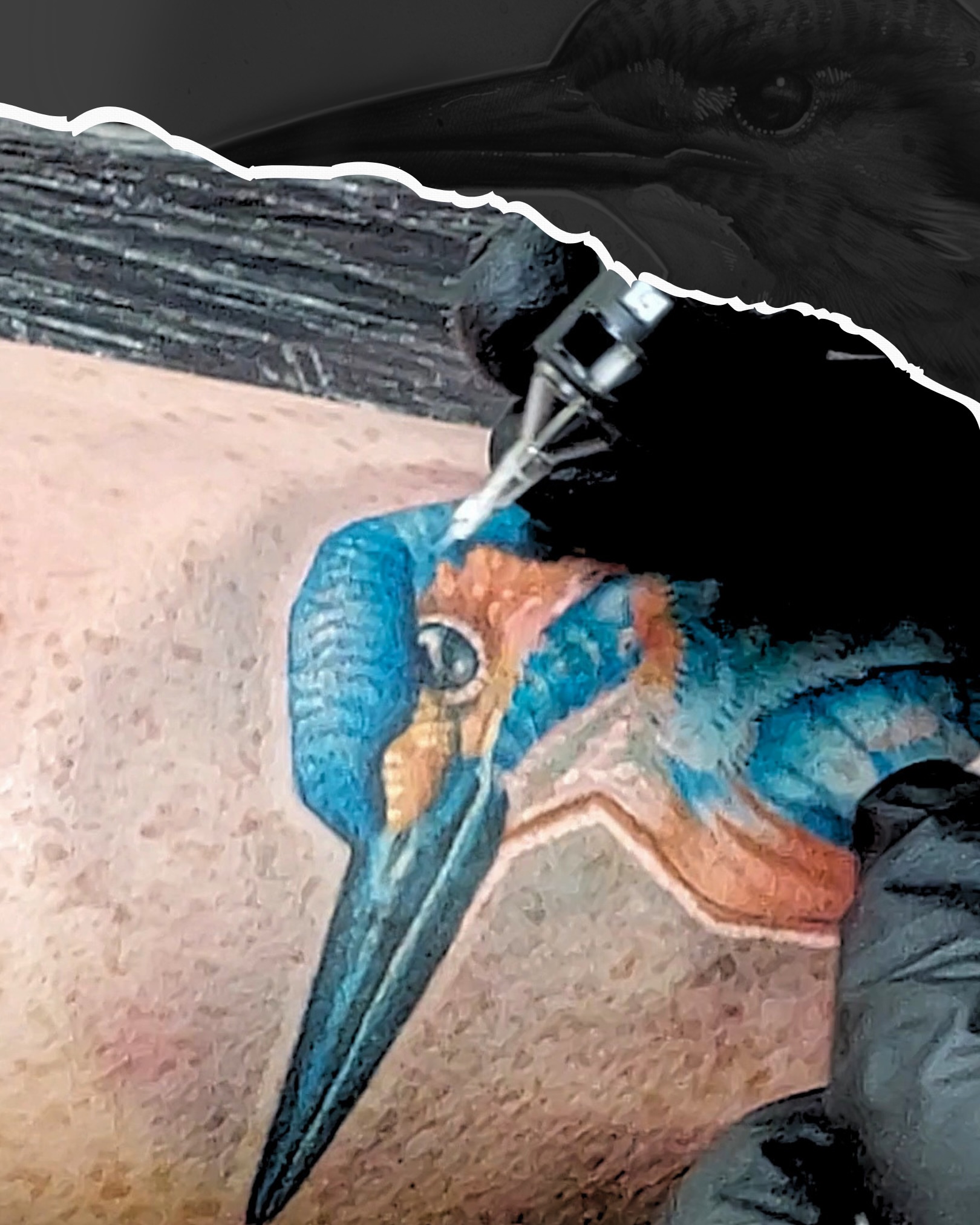 Tattoo by @gracetattoo — realism