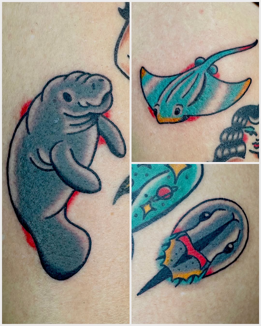 Manatee American traditional tattoo on the upper arm by β₯ππππππβ₯ππππβ₯ Traditional Tattoos