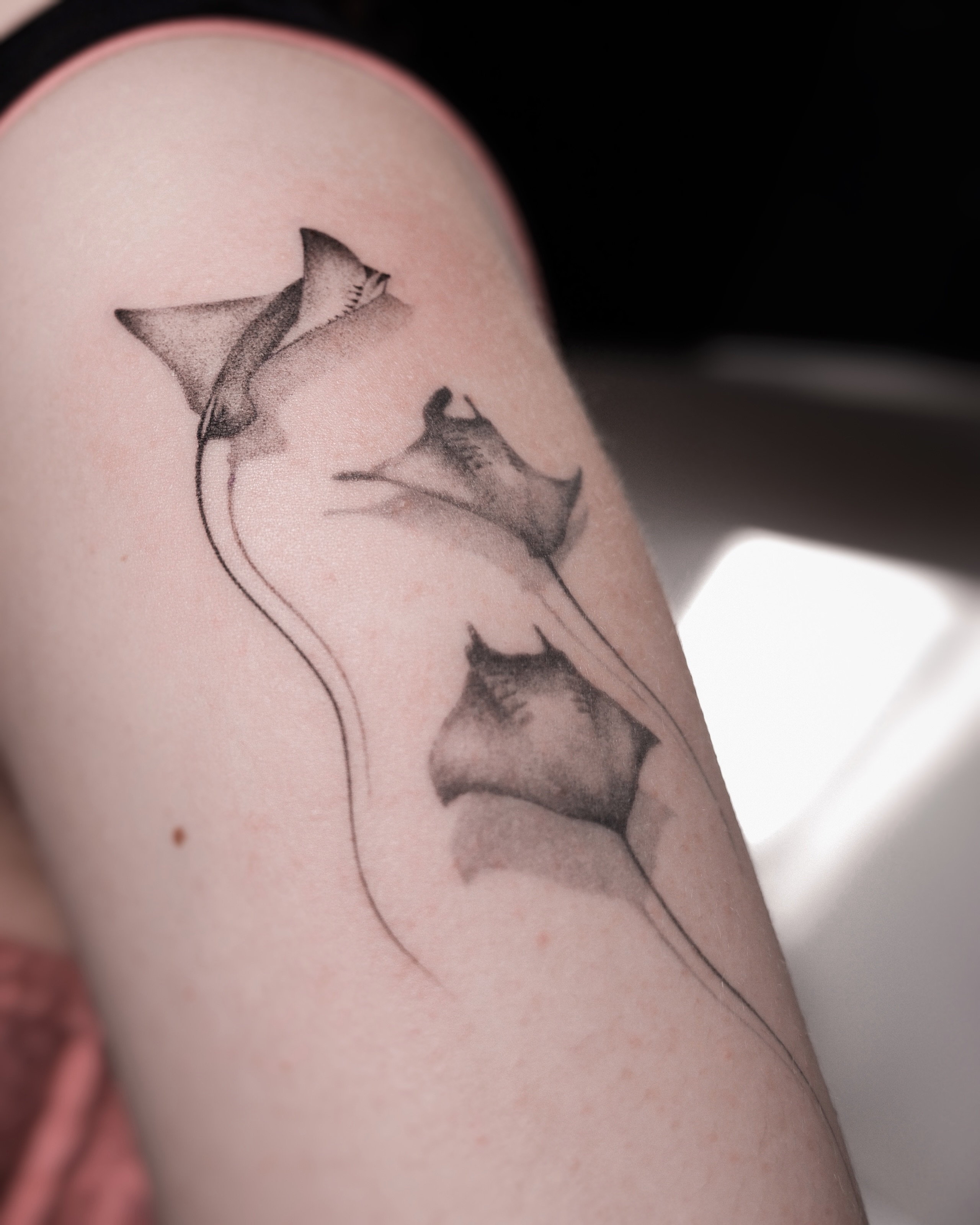 Ray fish black and grey tattoo on the forearm by Alina 🌙 Tattoo in Calgary 🇨🇦