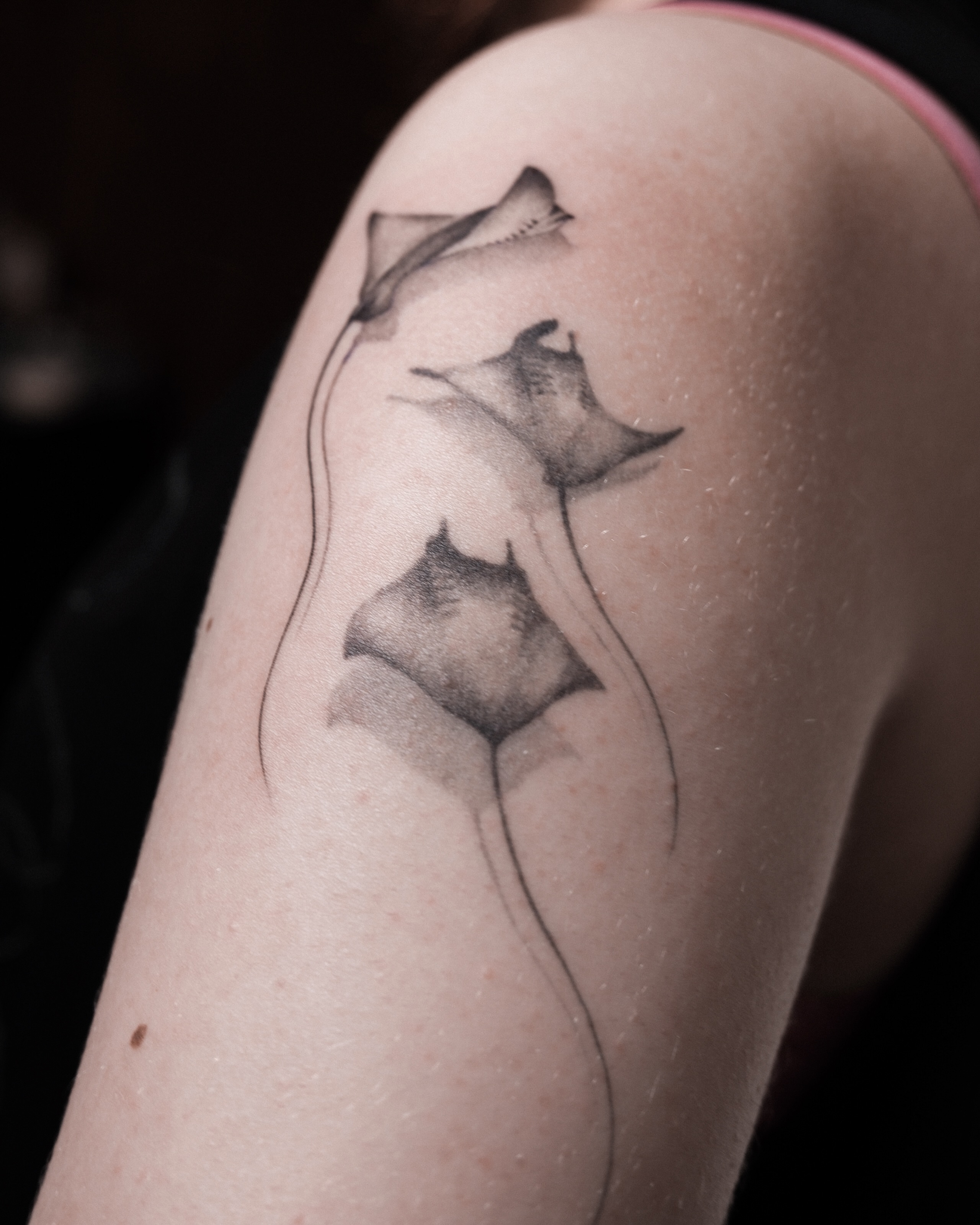 Ray fish black and grey tattoo on the upper arm by Alina 🌙 Tattoo in Calgary 🇨🇦
