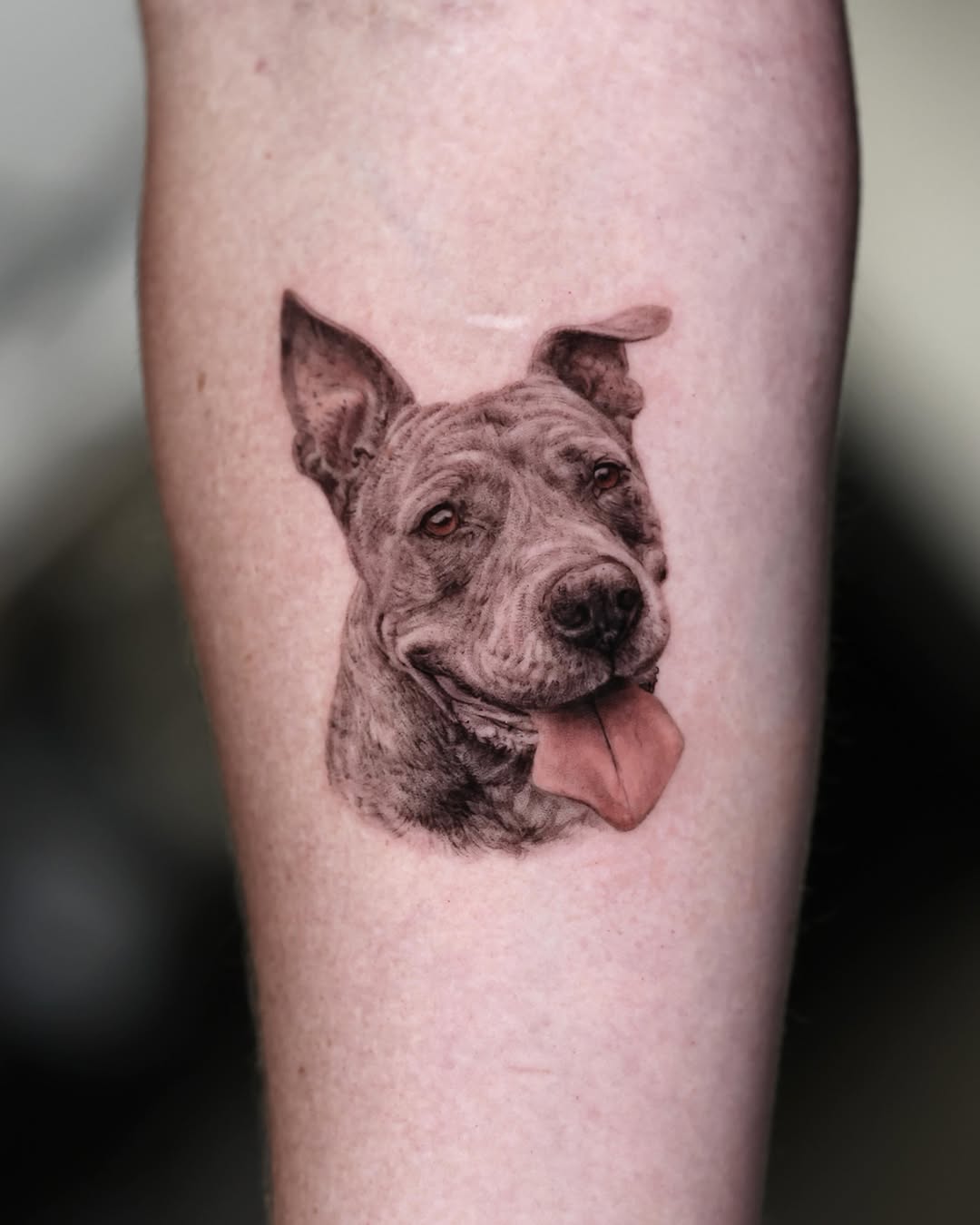 Dog portrait with tongue out realism tattoo on the forearm by LA Tattoo Yeono