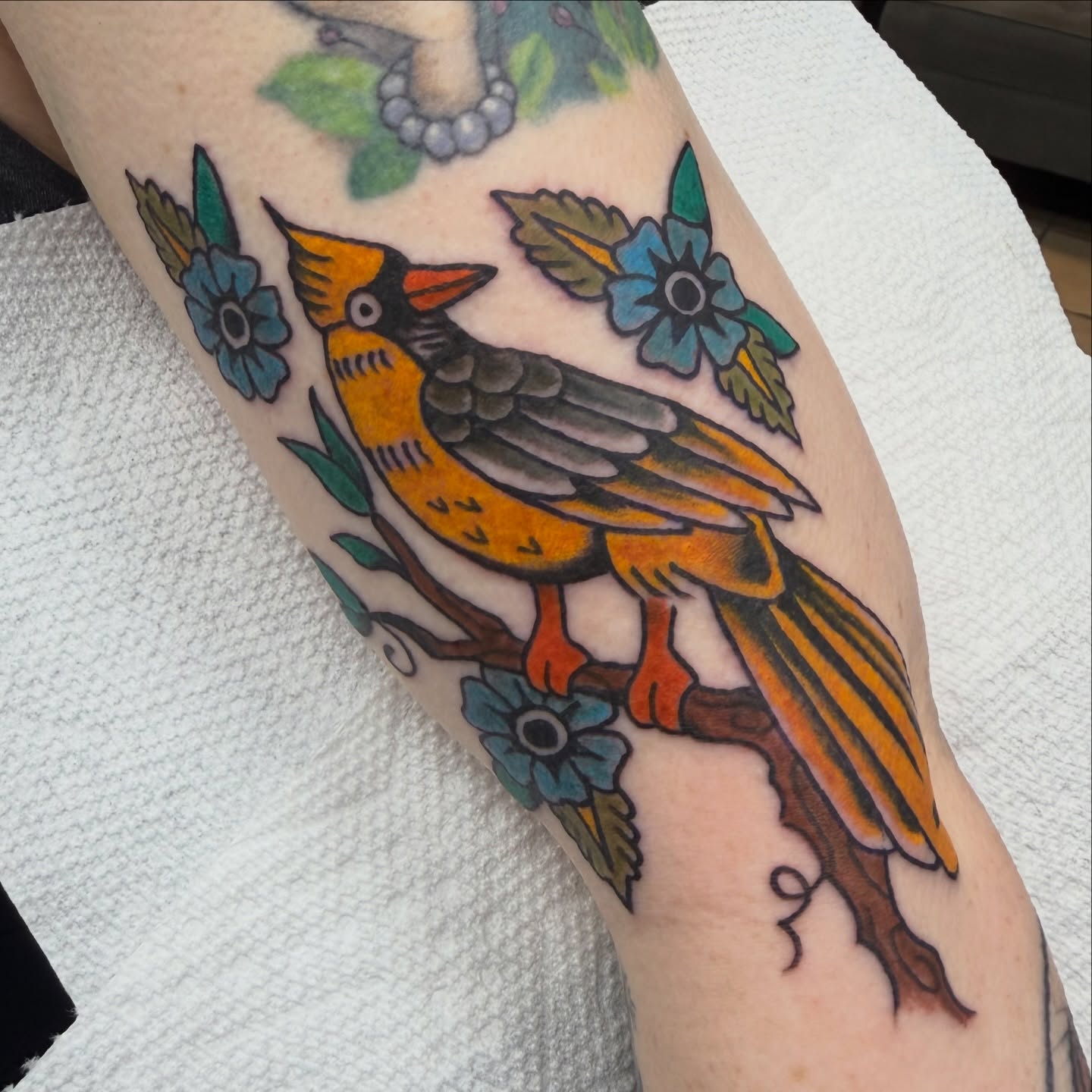 Bird American traditional tattoo on the forearm by c☮︎urt