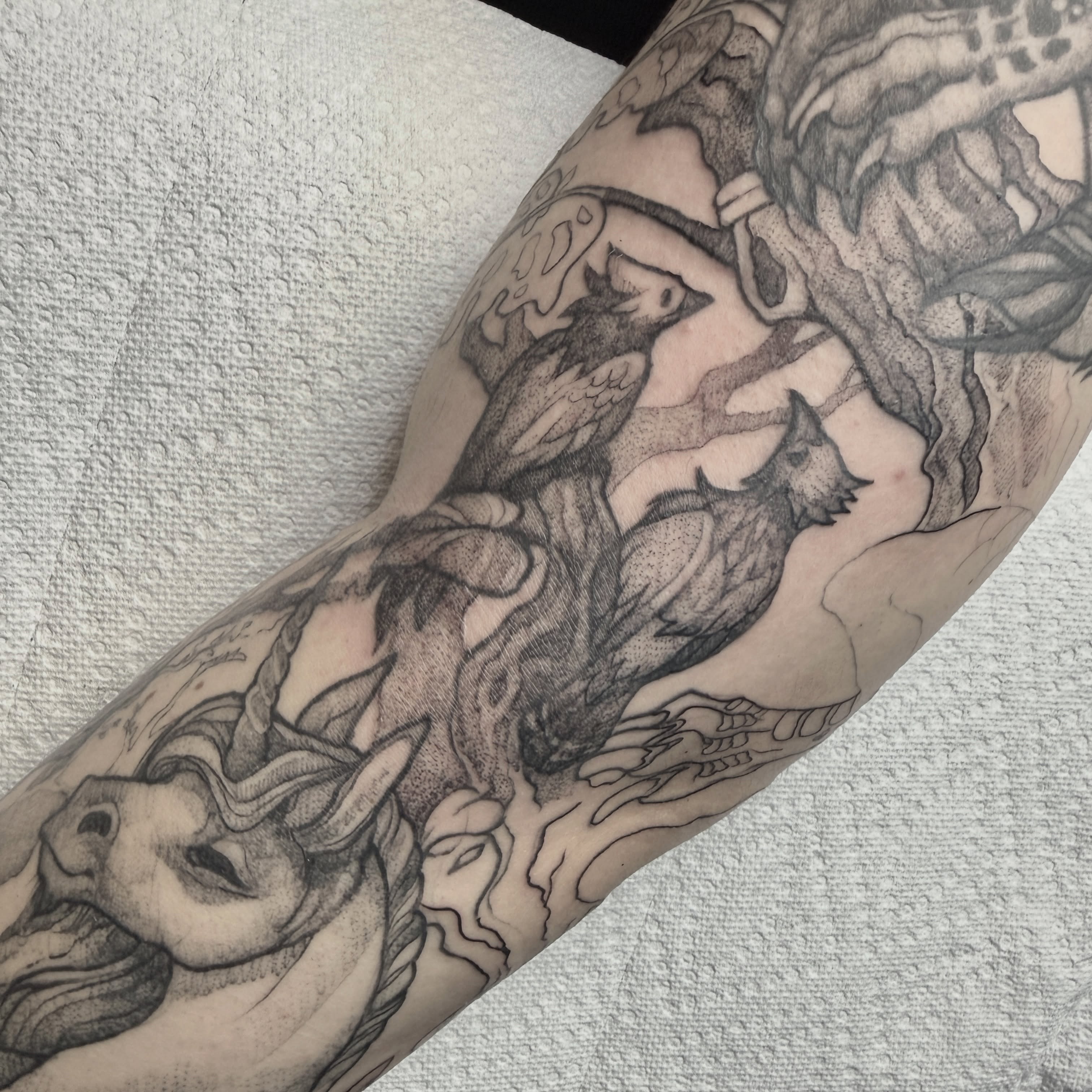 Tattoo by @blackmeddle — dotwork, black_and_grey
