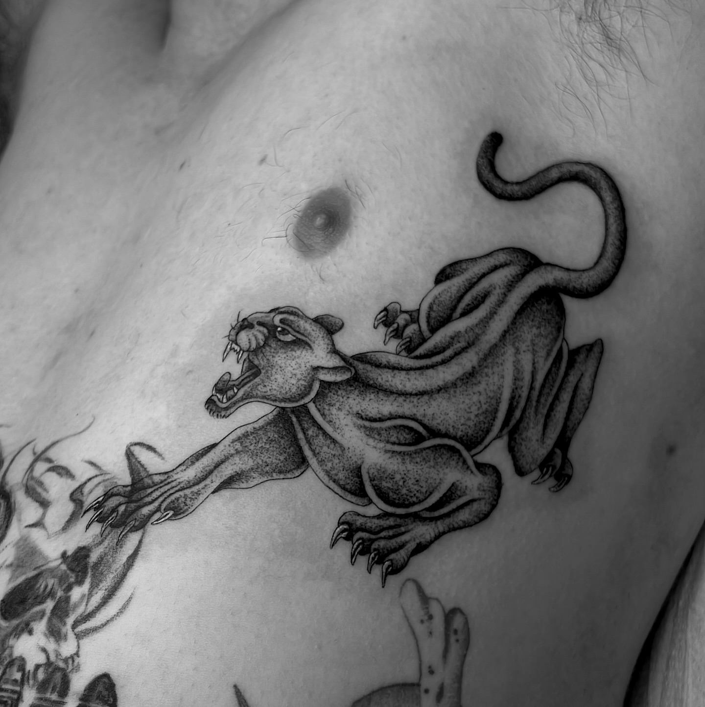Lion dotwork tattoo on the chest by David Delacruz