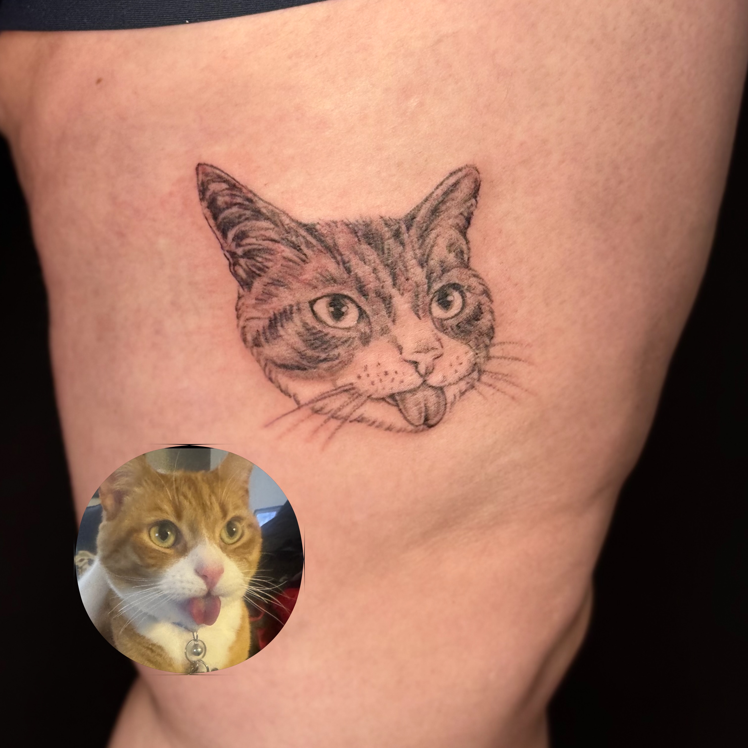 Cat realism tattoo on the thigh by ๐๐ญ๐ฆ๐จ๐ณ๐ข โ๐๐ฆ๐จโ ๐ฆต