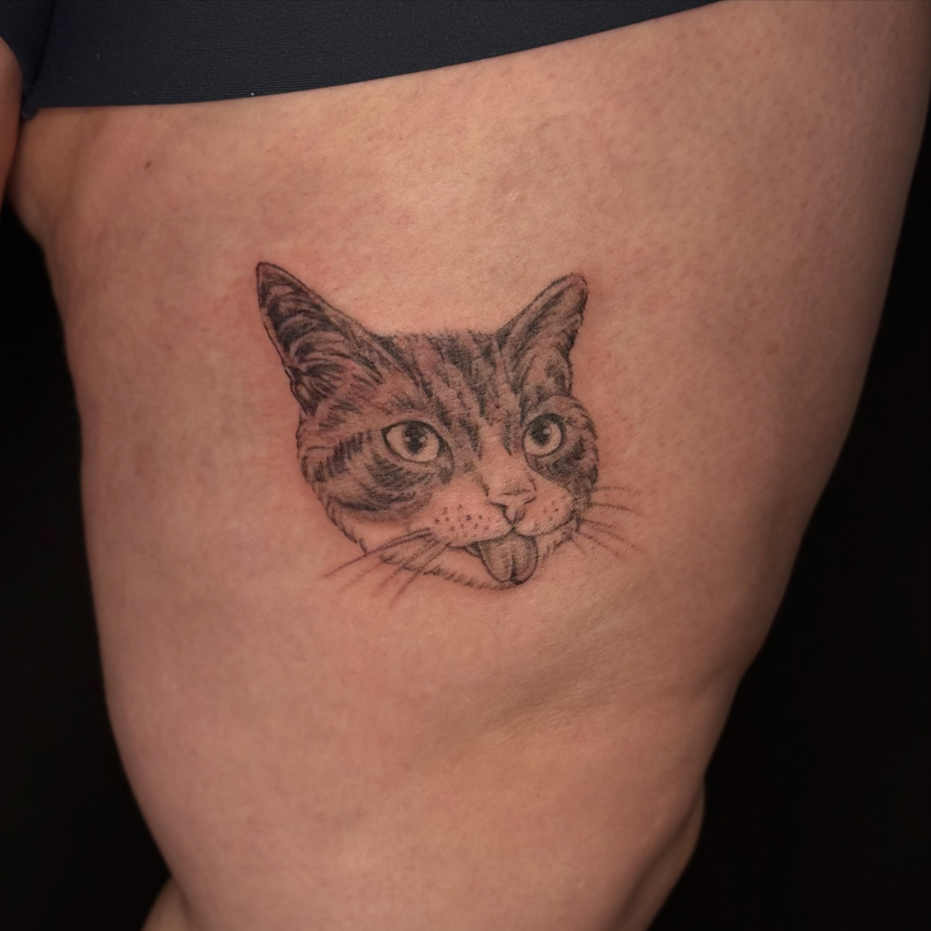 Cat realism tattoo on the thigh by ๐๐ญ๐ฆ๐จ๐ณ๐ข โ๐๐ฆ๐จโ ๐ฆต
