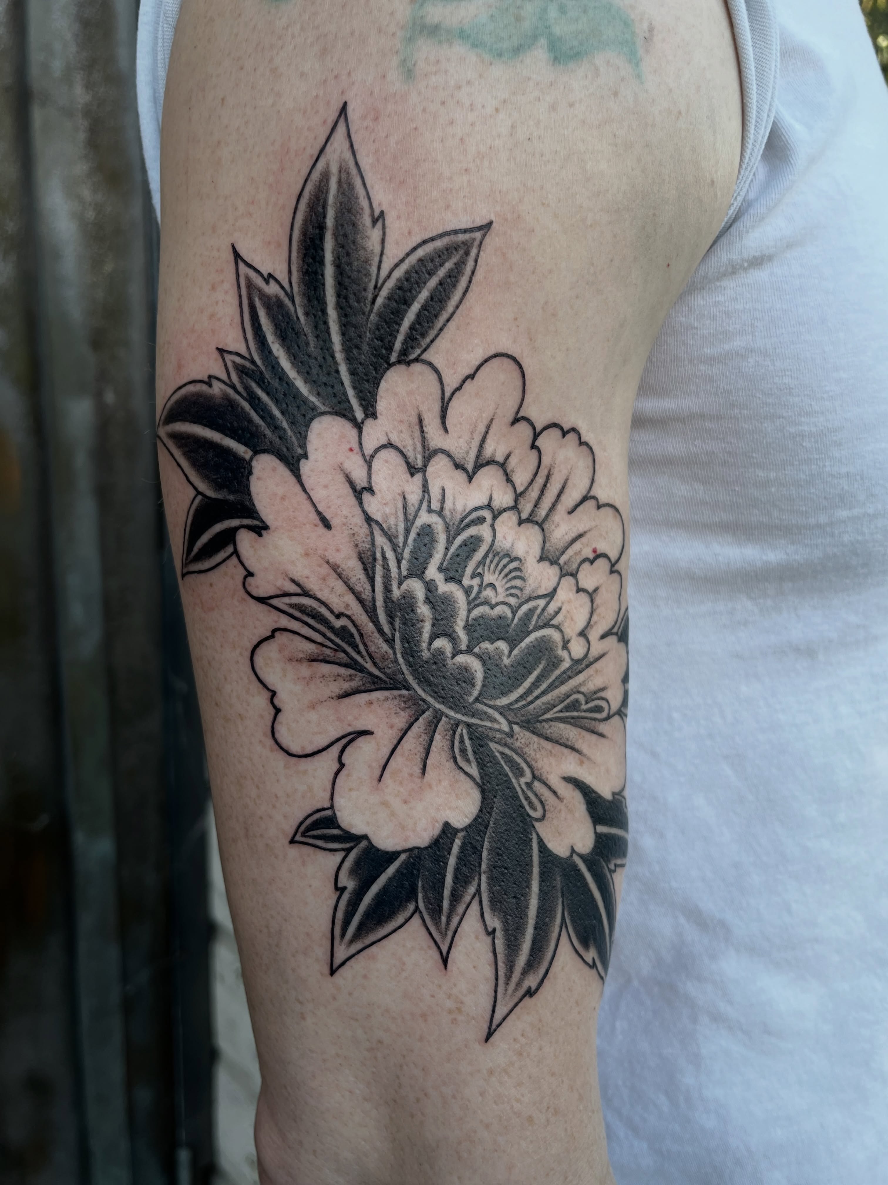 Peony flower black and grey tattoo on the forearm by Campbell Zane Alexander