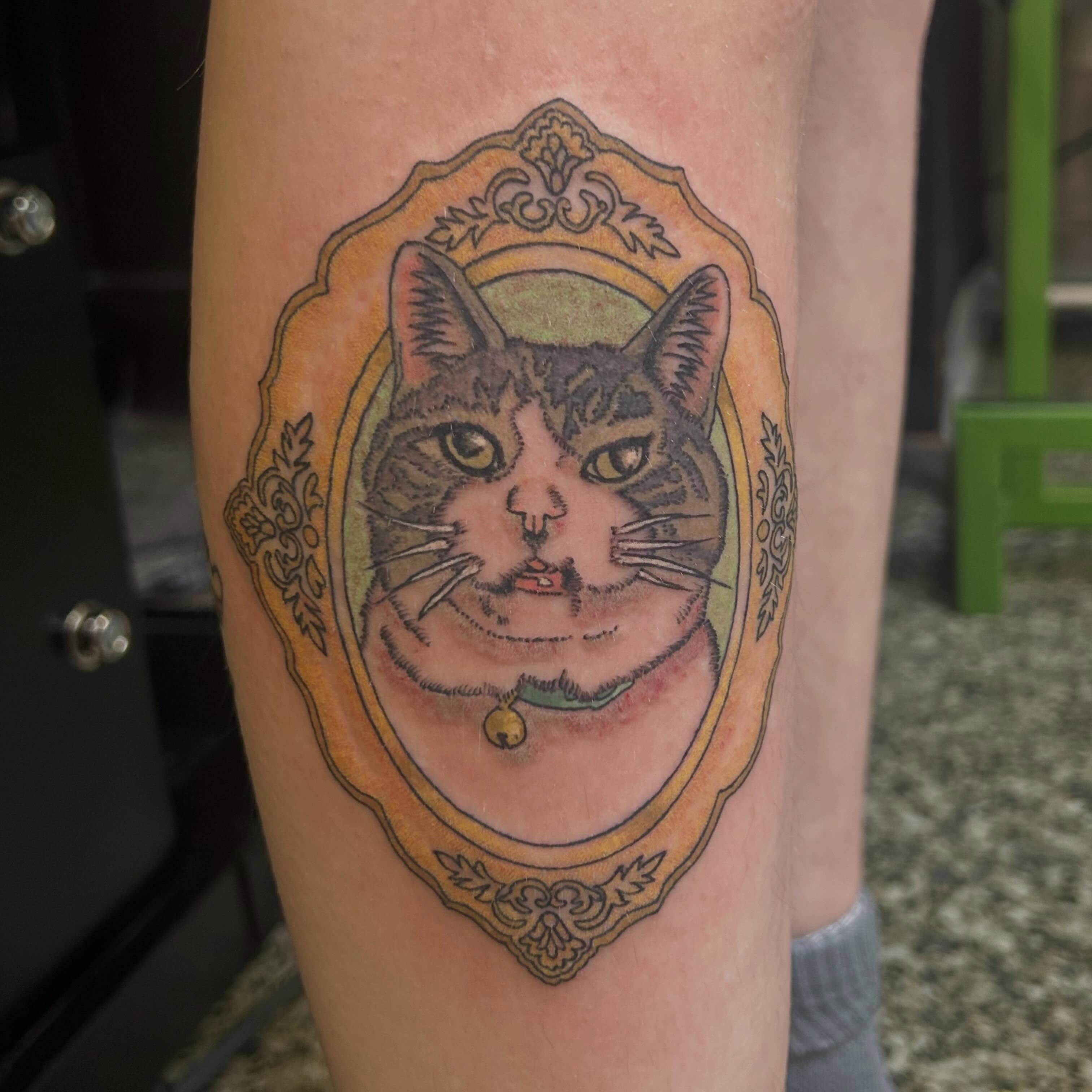 Cat portrait realism tattoo on the forearm by Norfolk Tattooer, Norfolk, Virginia
