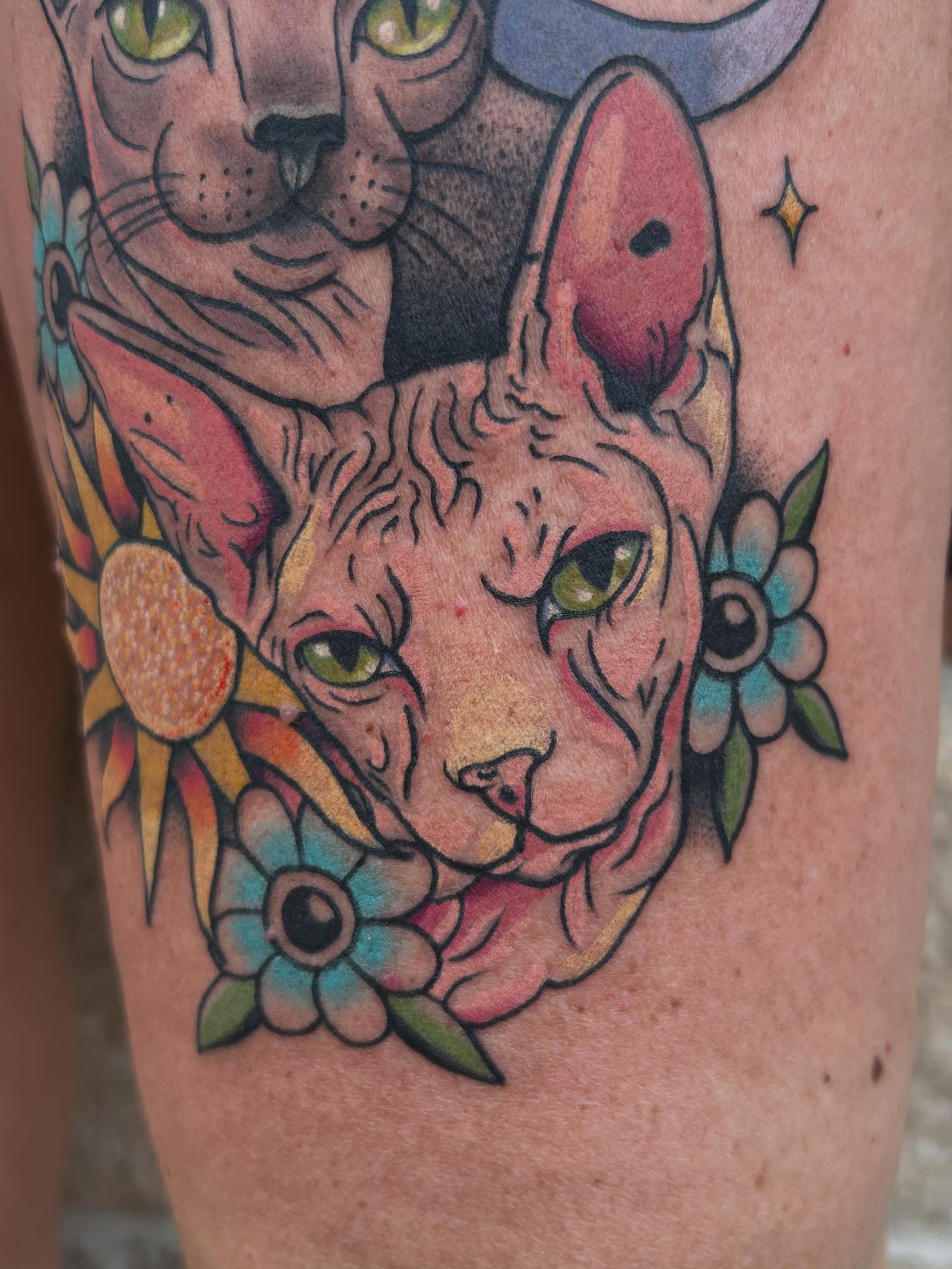 Sphynx cat American traditional tattoo on the thigh by Cassidy Hammer, Westland, Michigan