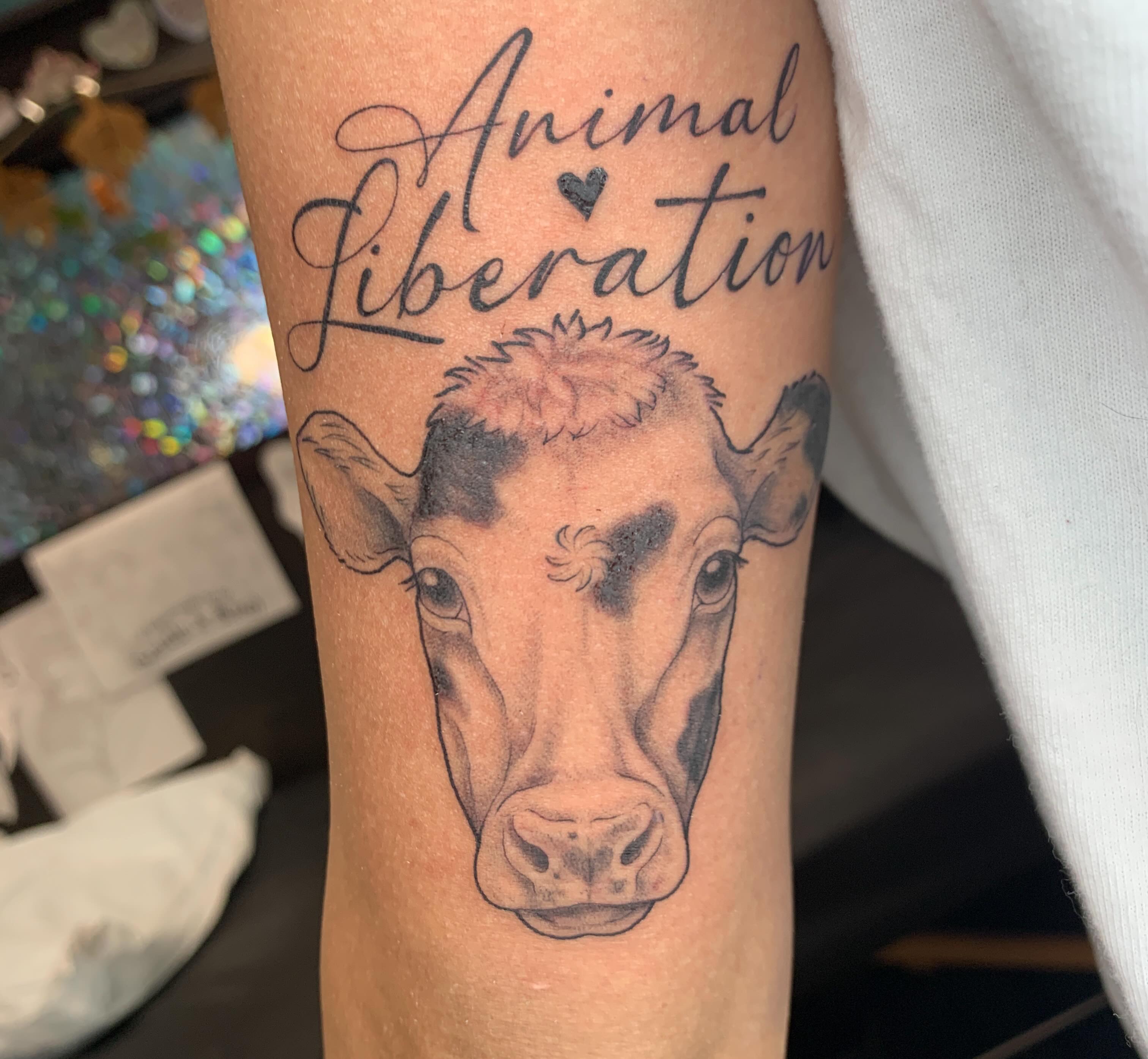 Cow black and grey tattoo on the forearm by Kitty Jones, Berkeley, California