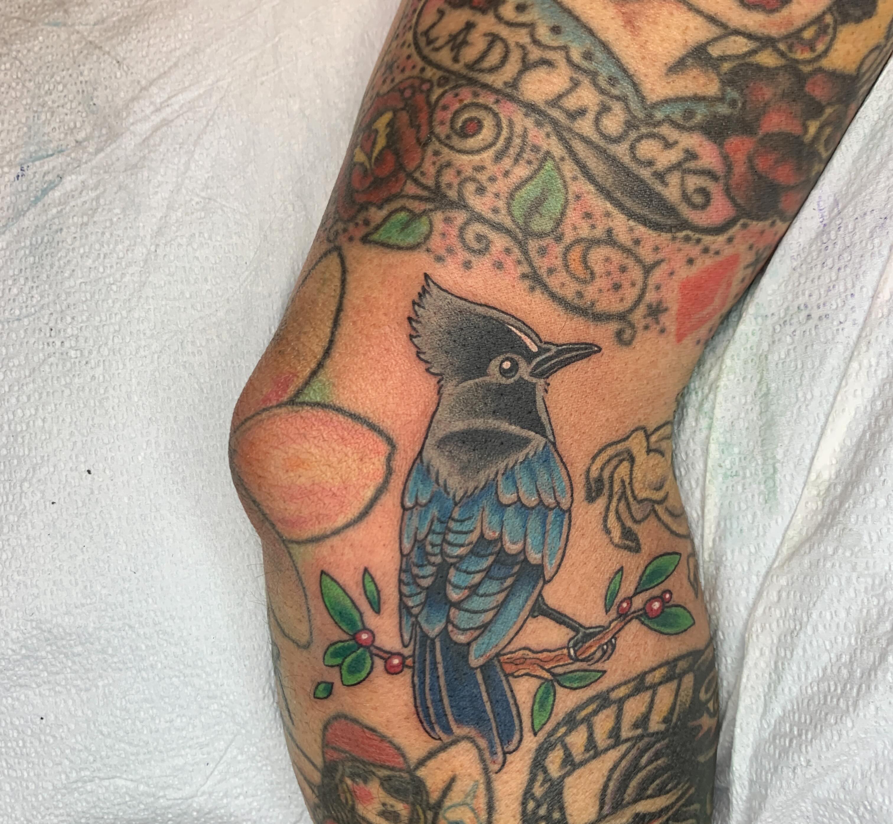 Blue jay American traditional tattoo on the forearm by Kitty Jones, Berkeley, California