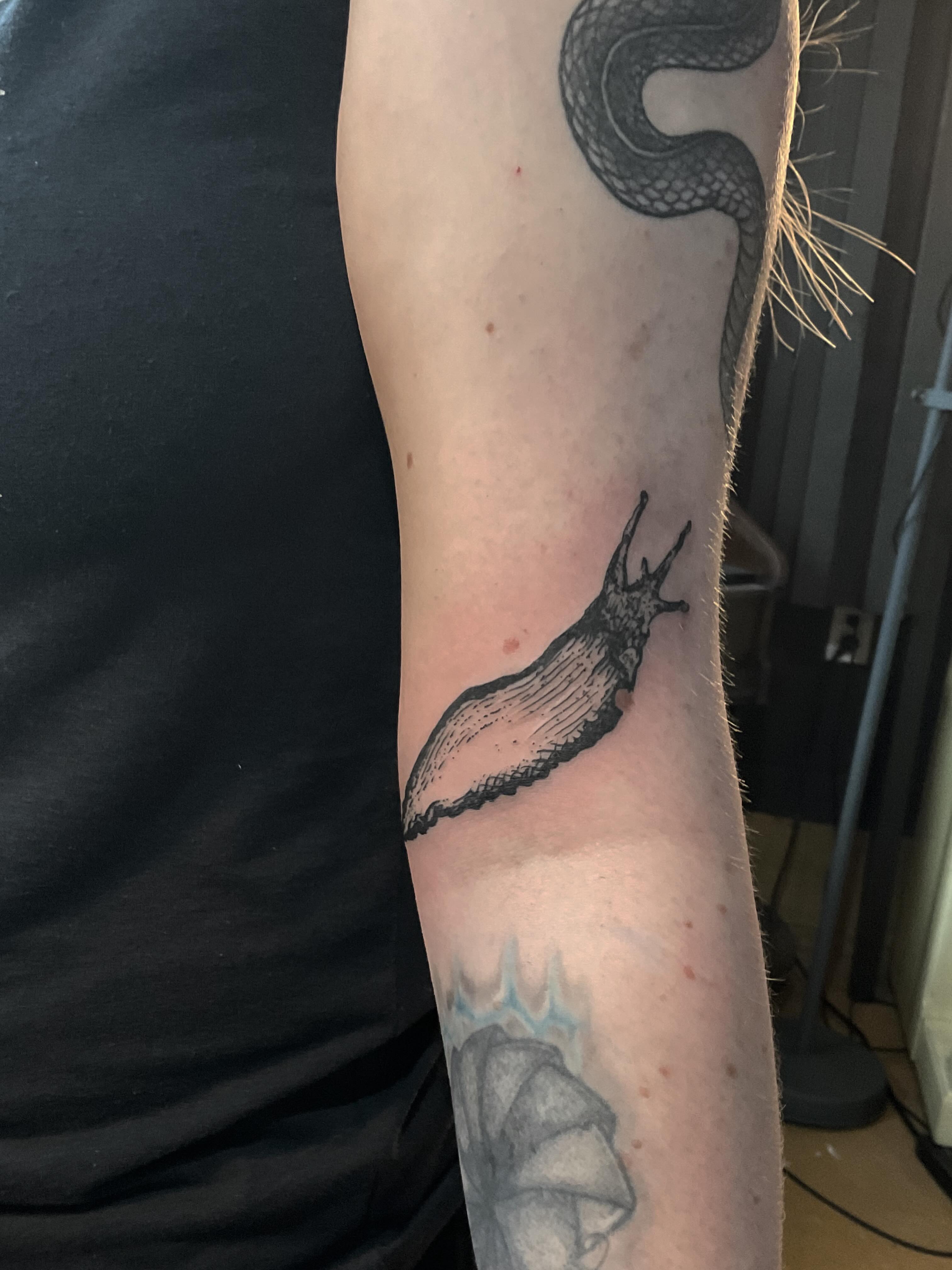 Snail black and grey tattoo on the forearm by ๐ญ๐๐๐๐