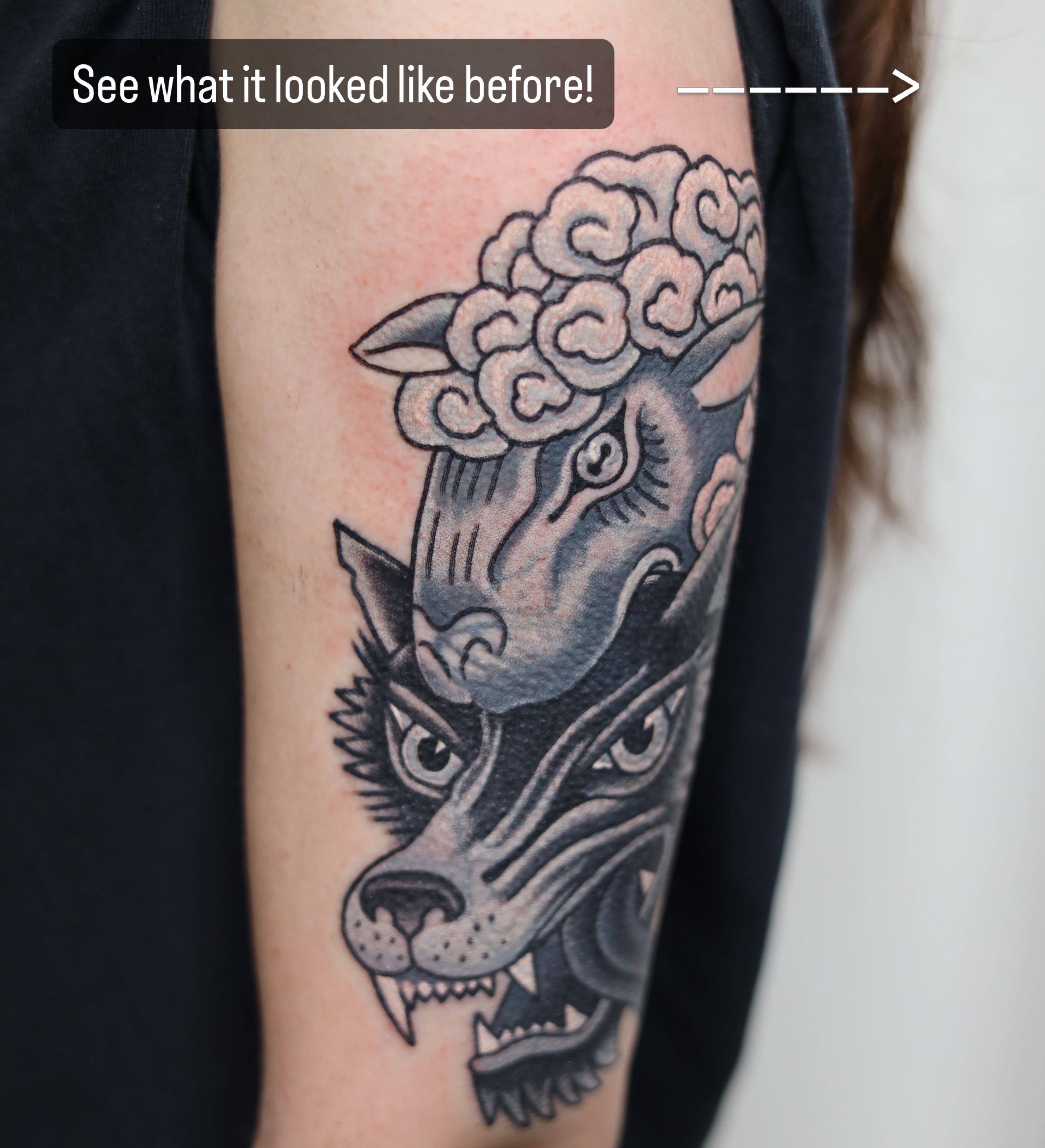 Wolf head with cloud black and grey tattoo on the forearm by Caleb Ortiz