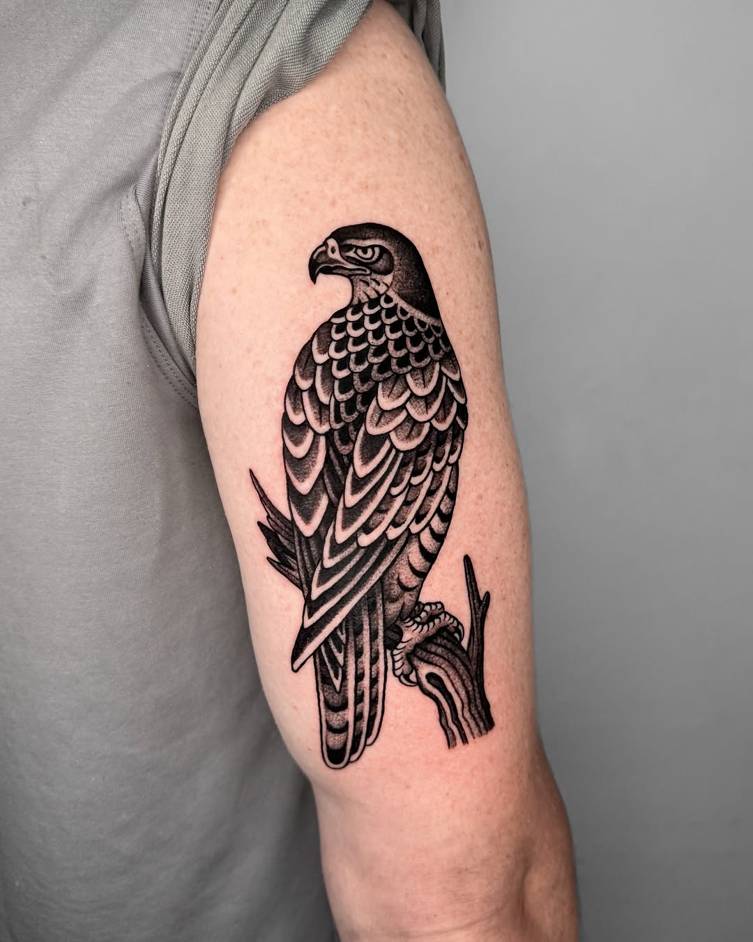Hawk black and grey tattoo on the forearm by Jae Traditional Tattoo