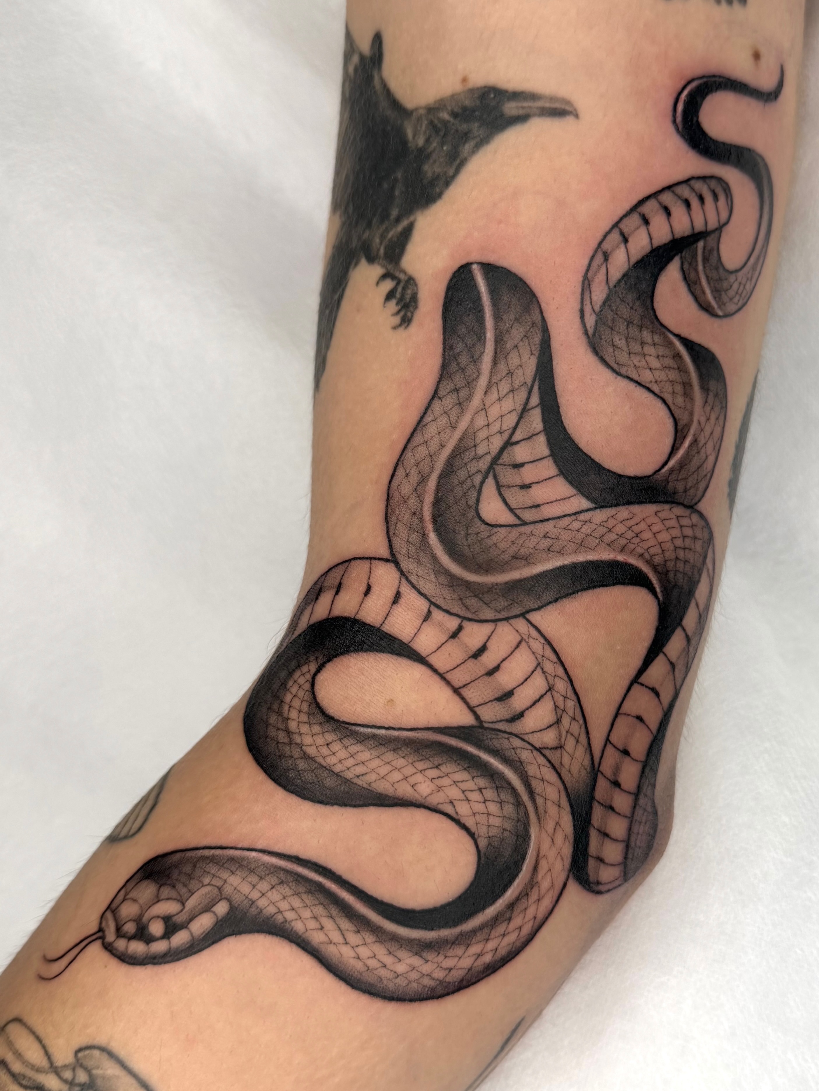 Snake realism tattoo on the forearm by Red