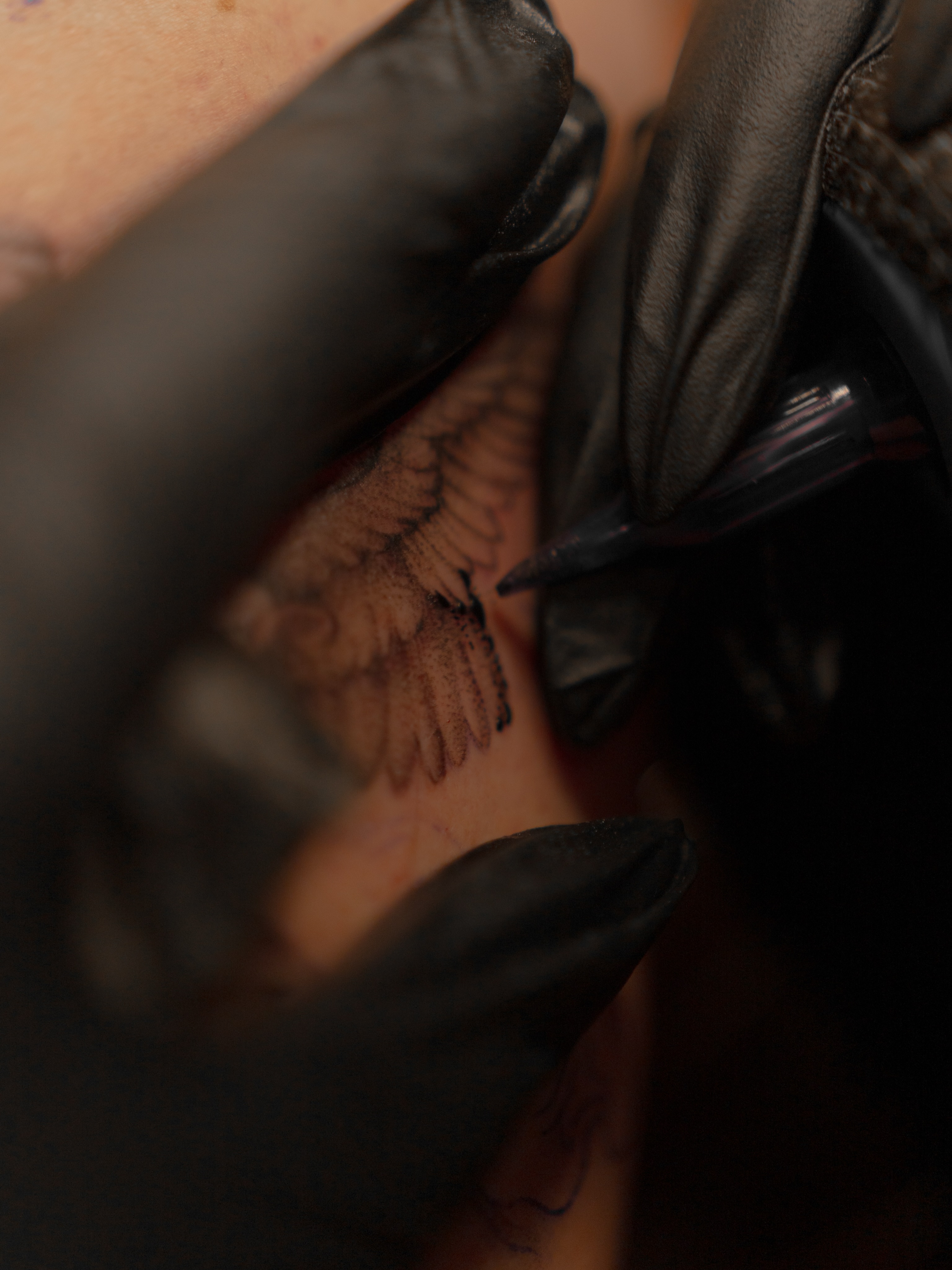 Bird American traditional tattoo on the forearm by Jen- San Antonio tattoo artist