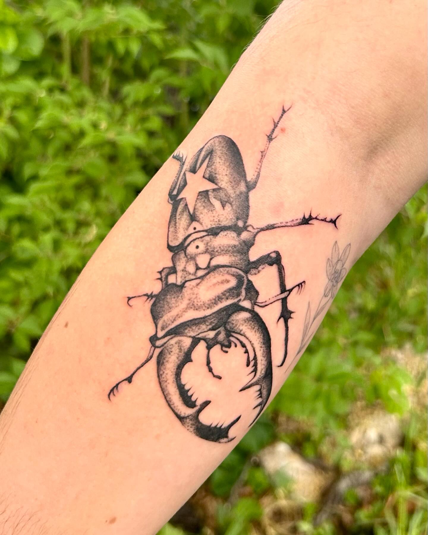 Stag beetle dotwork tattoo on the forearm by Sarah Miller ✶