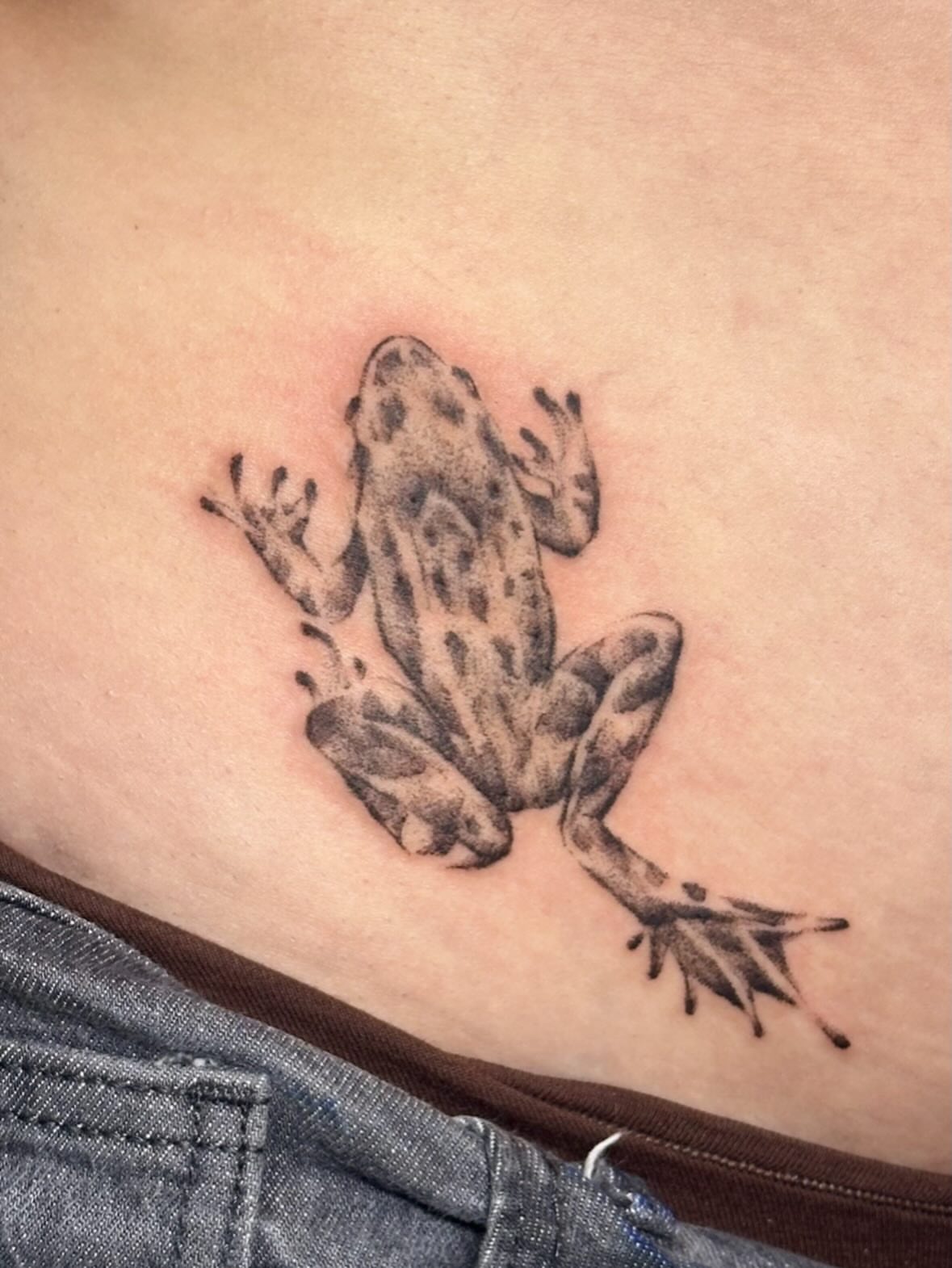 Frog realism tattoo on the ribs by edie ☆ kansas tattoo artist, Lawrence, Kansas