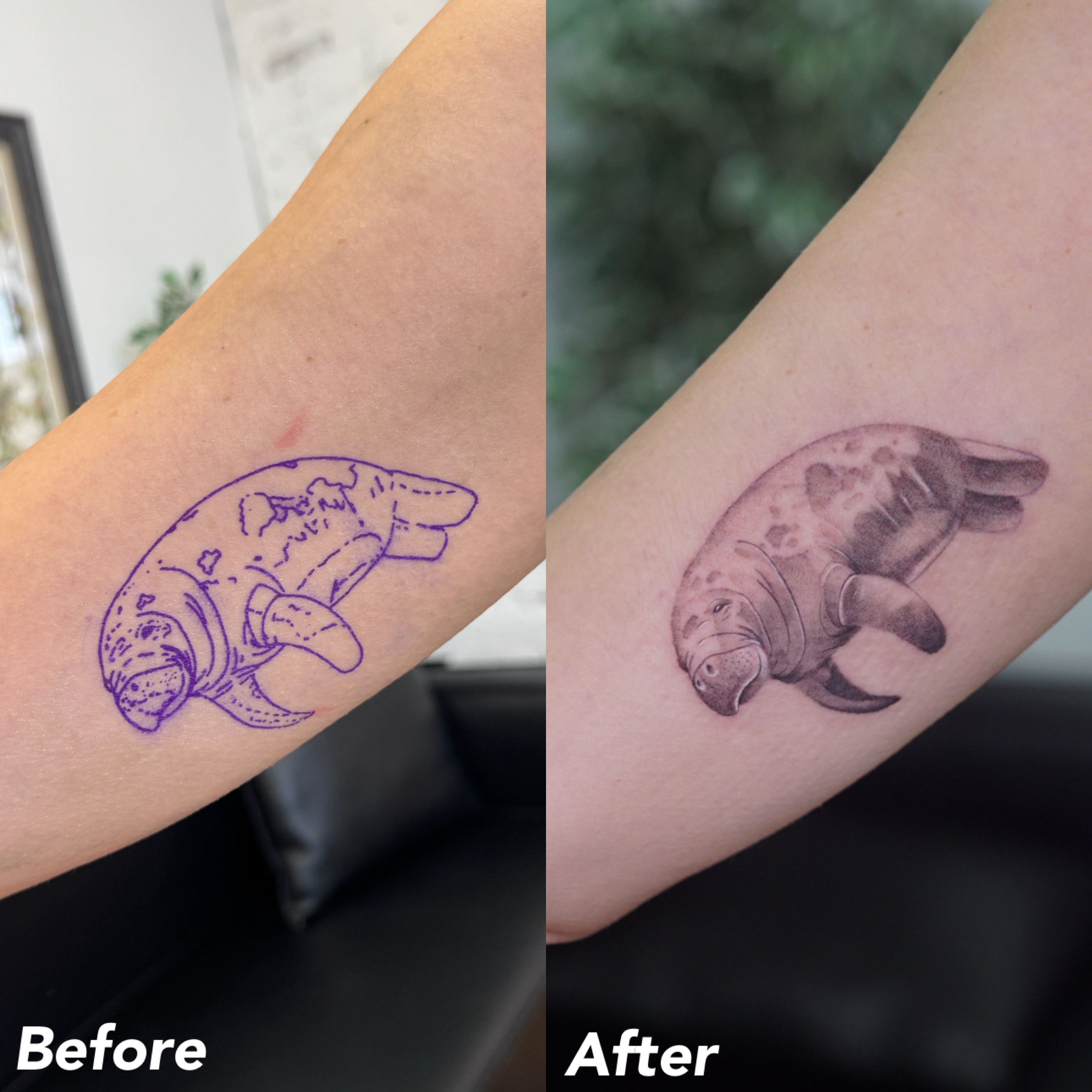 Manatee realism tattoo on the forearm by Josh Infante