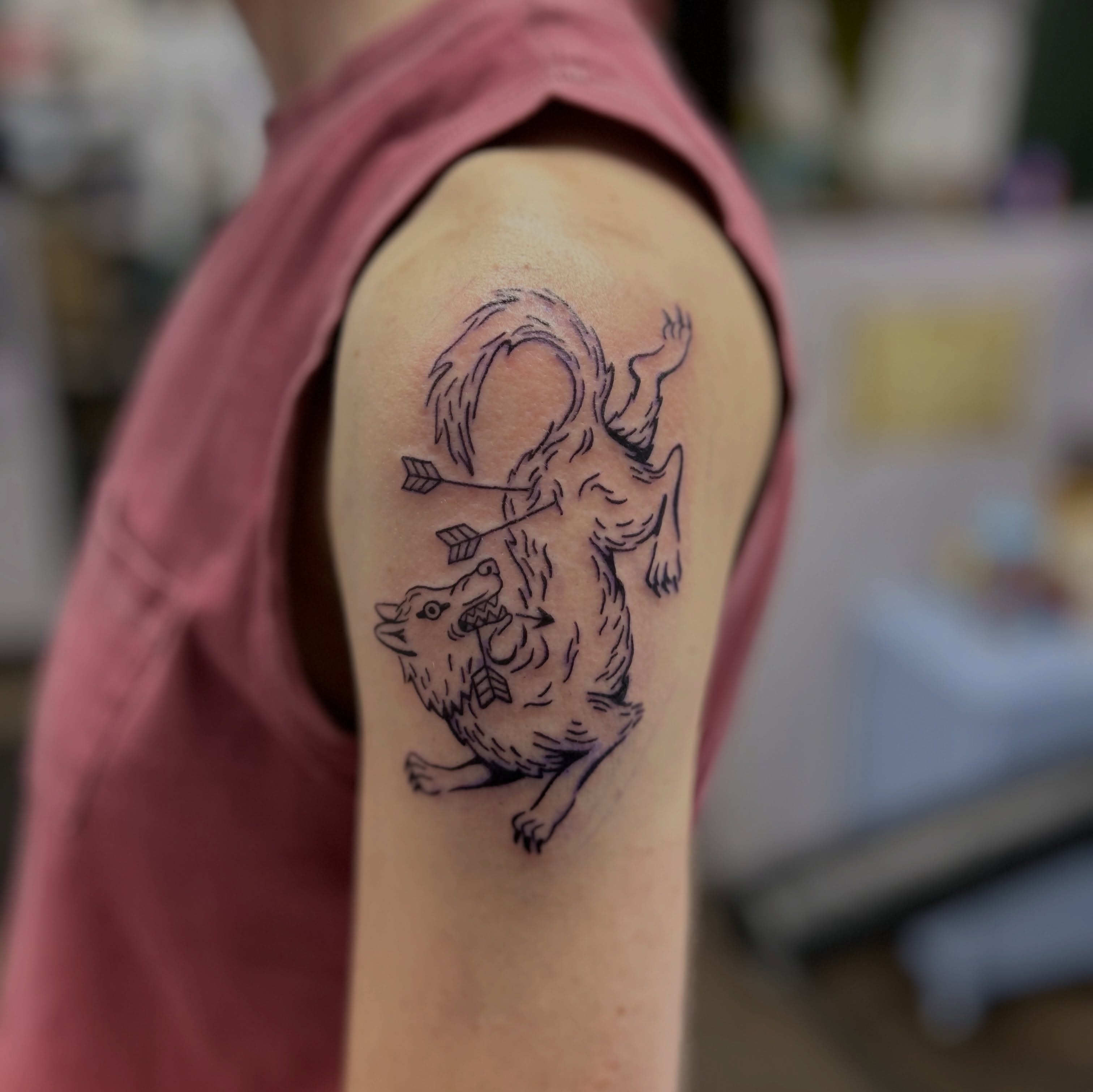 Wolf with arrows black and grey tattoo on the shoulder by Natalie Johnson, Minneapolis, Minnesota