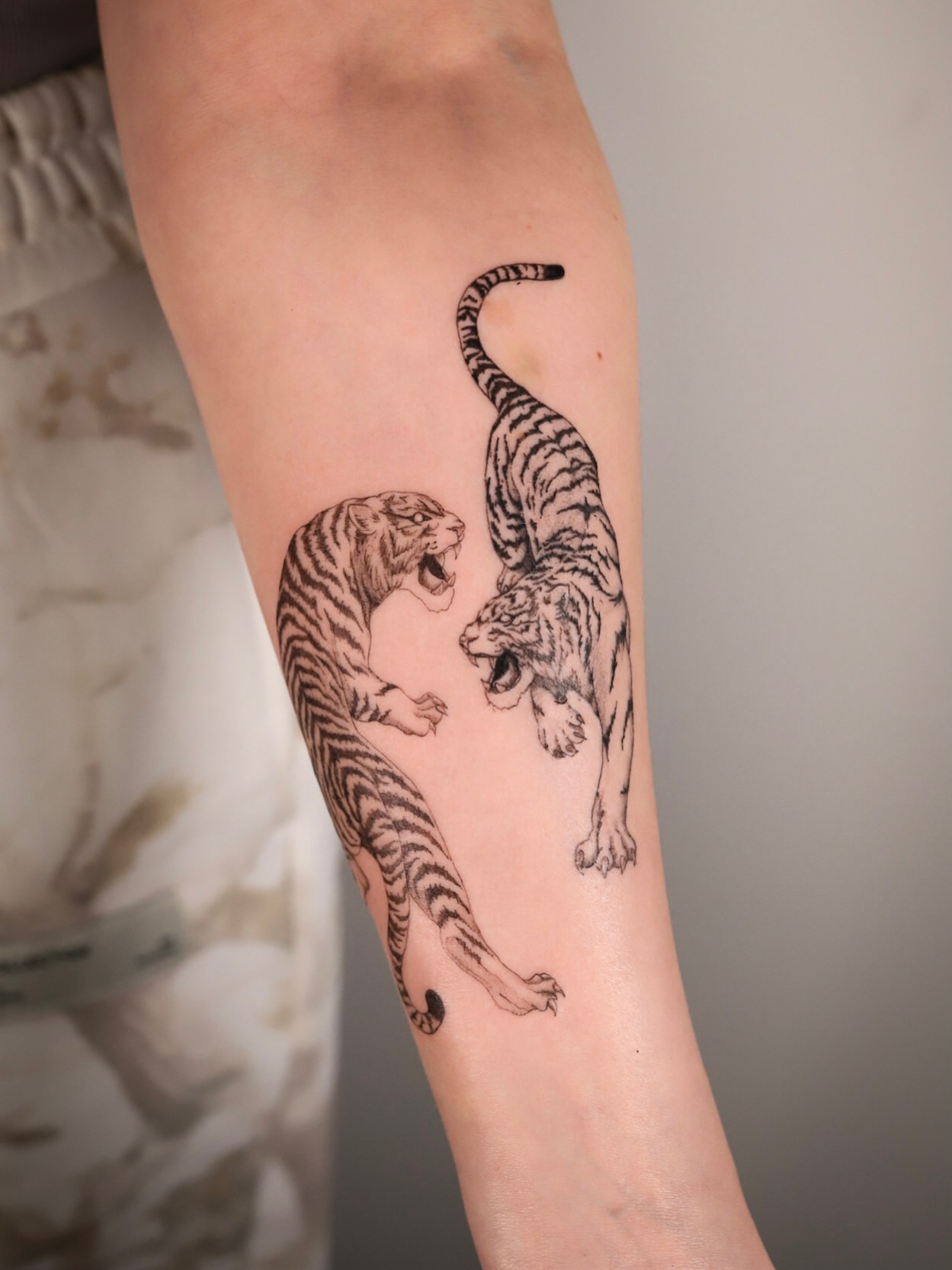 Tigers black and grey tattoo on the forearm by Caroline + Utah Tattoo Artist