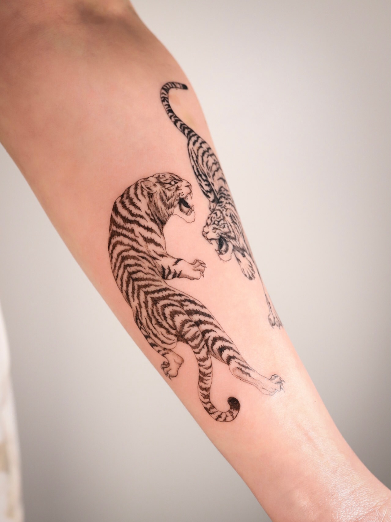 Tigers black and grey tattoo on the forearm by Caroline + Utah Tattoo Artist