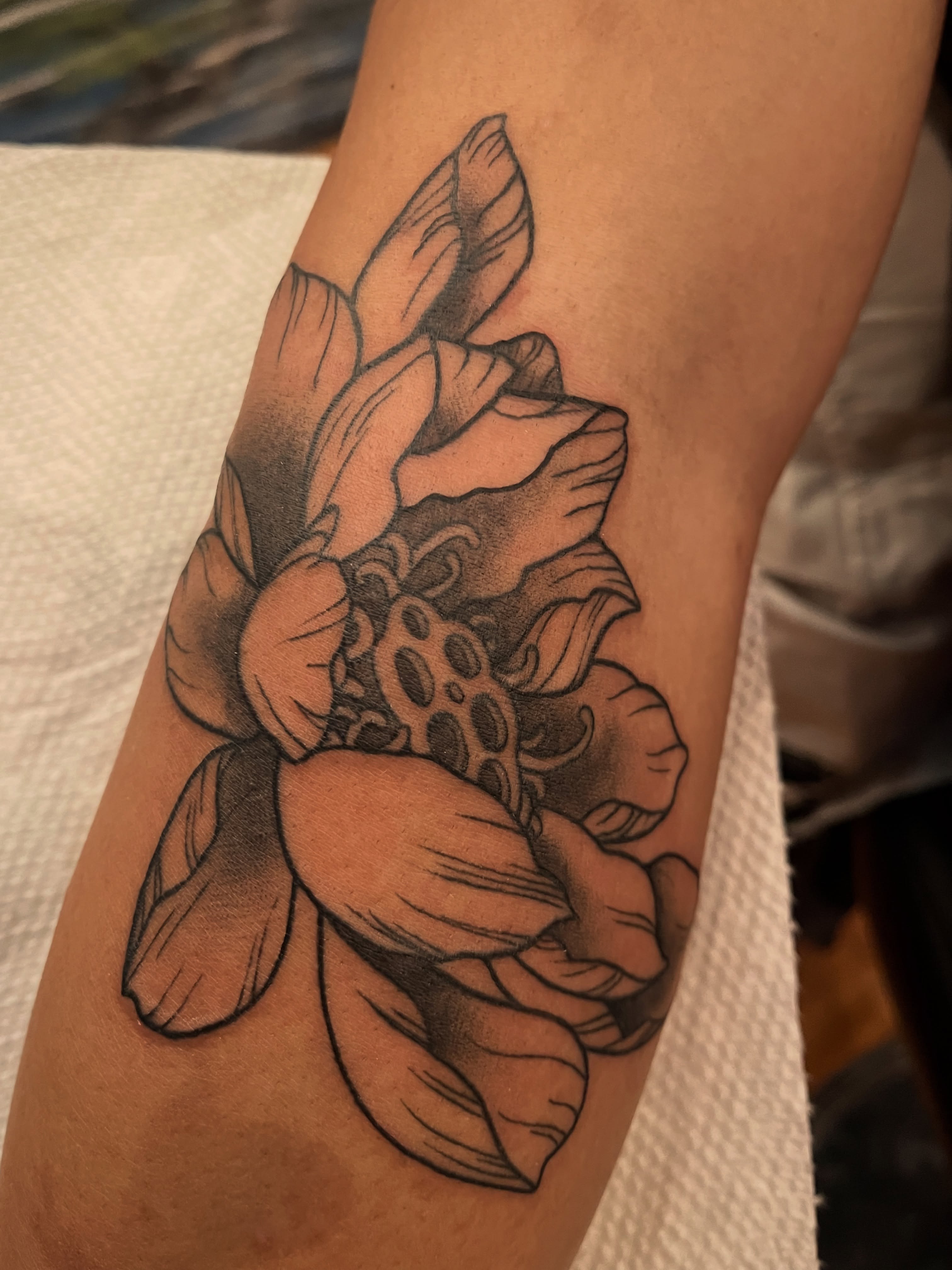 Lotus flower black and grey tattoo on the forearm by Zoe Phan, Richmond, Virginia