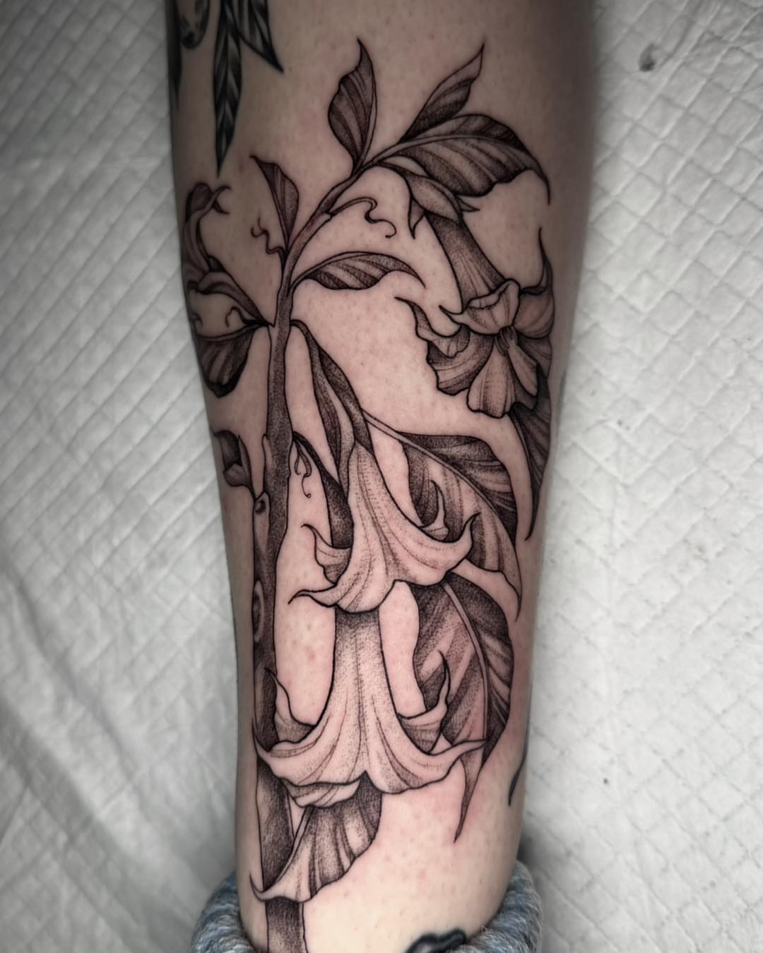 Datura flowers black and grey tattoo on the forearm by Mikaela Rush, Greensboro, North Carolina