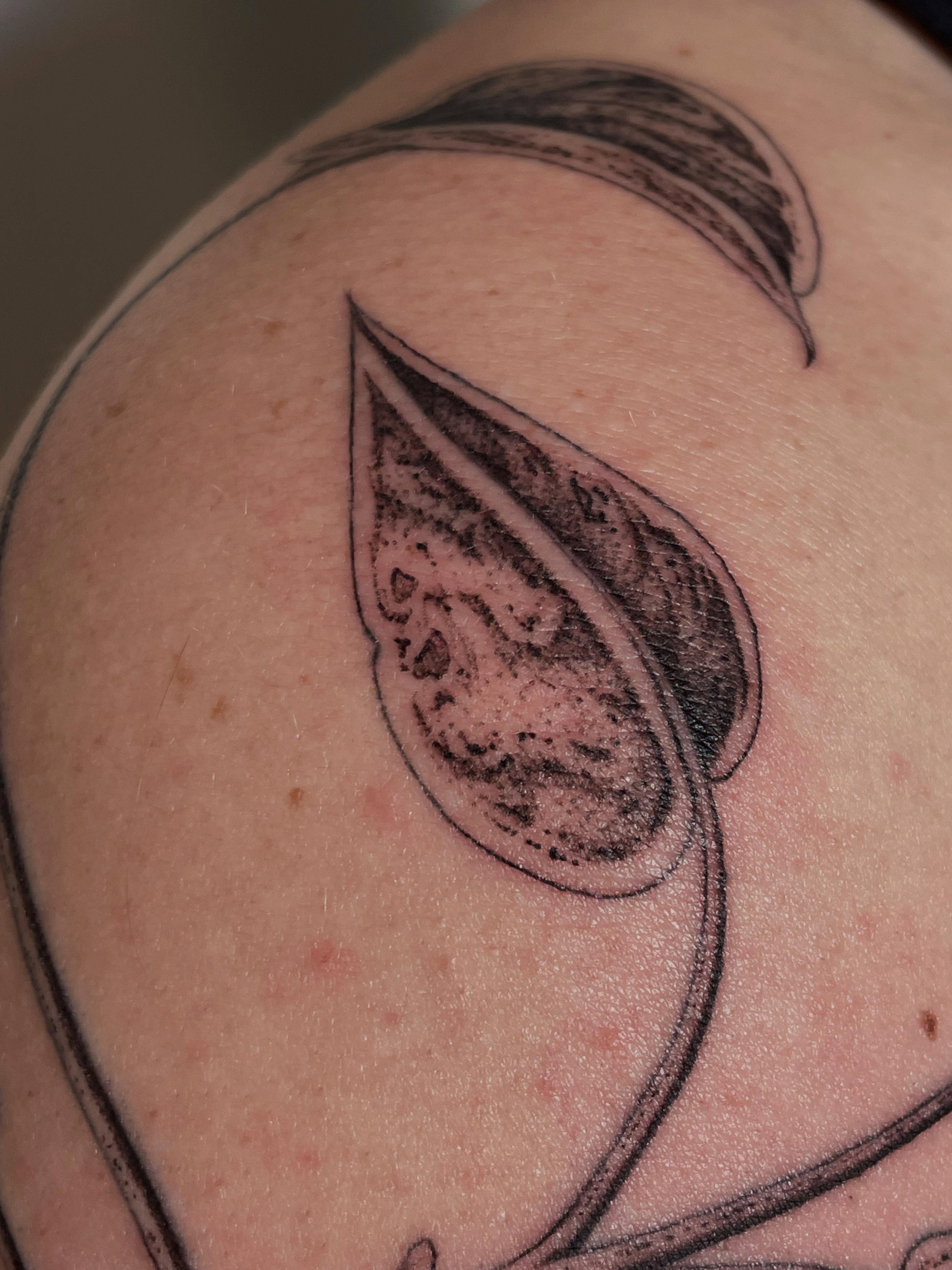 Teardrop dotwork tattoo on the shoulder by Marjeline González🌈🌞