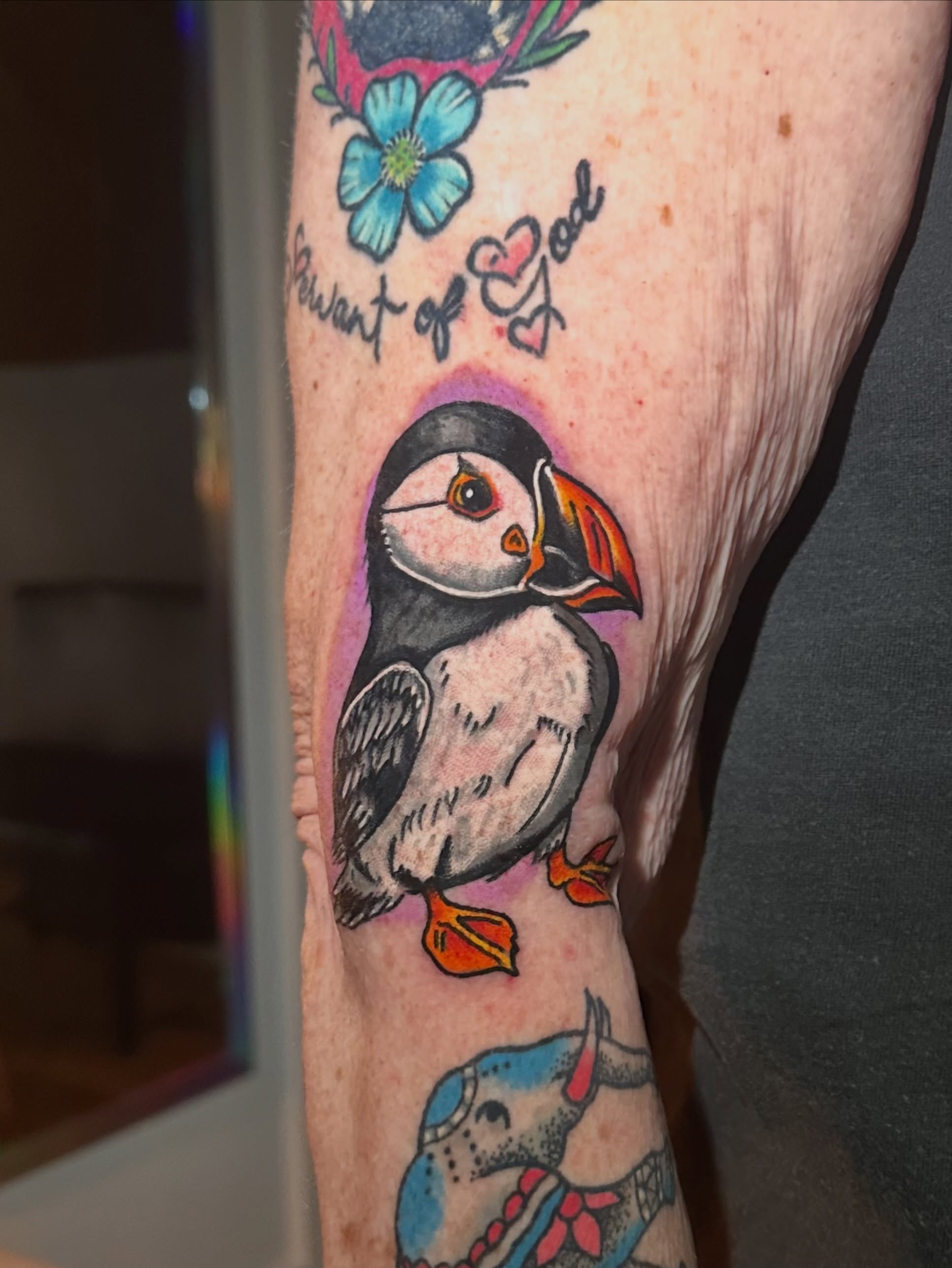 Puffin realism tattoo on the forearm by Cory Wasmund (blue check)