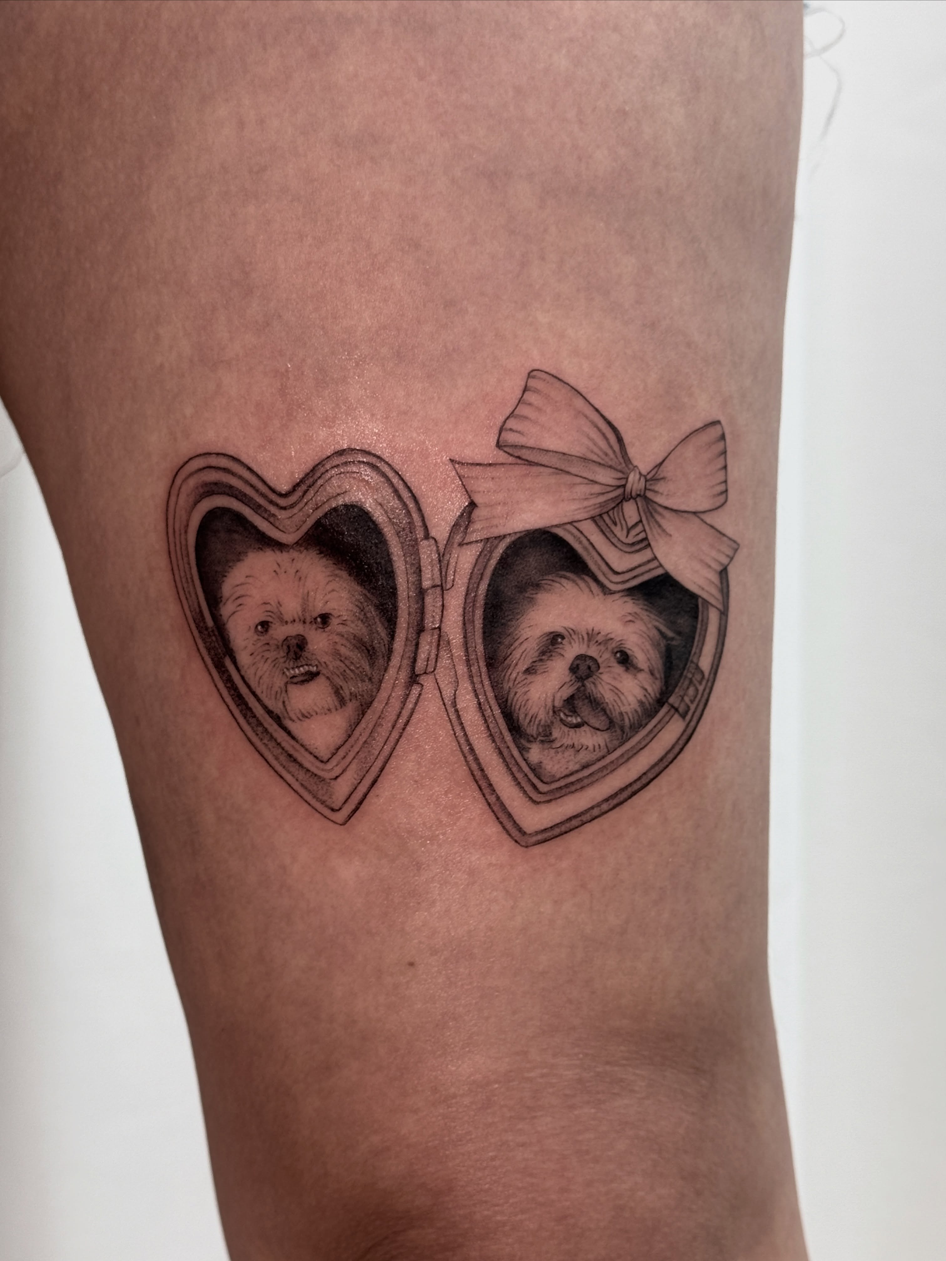 Dog portrait realism tattoo on the forearm by Jasmine, Lynnwood, Washington
