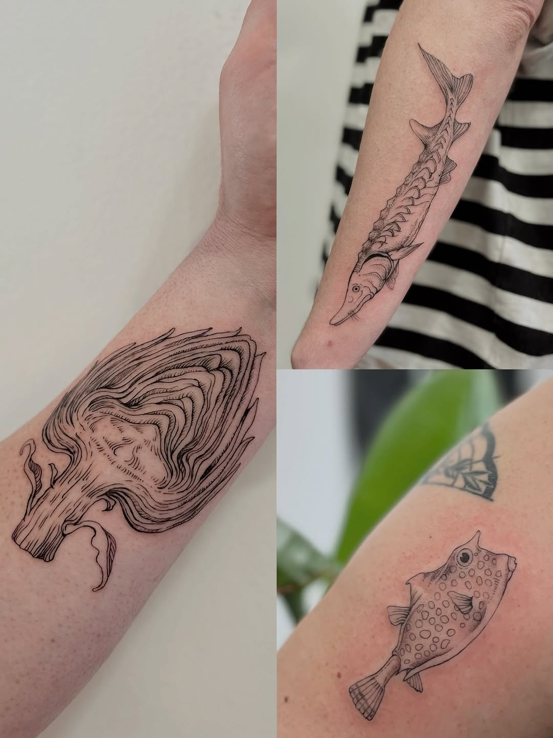 Tattoo by @crispyorchids — fine_line, illustrative